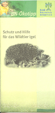 Titelseite BN-Ökotipp Igel