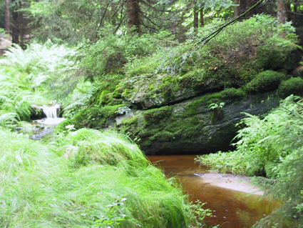 Am Hirschenstein