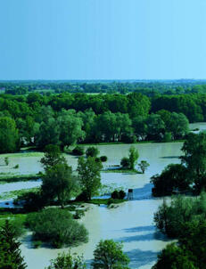 Donau-Hochwasser