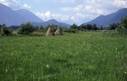 Murnauer Moos