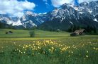 FeuchtwieseBuckelwiesenBN