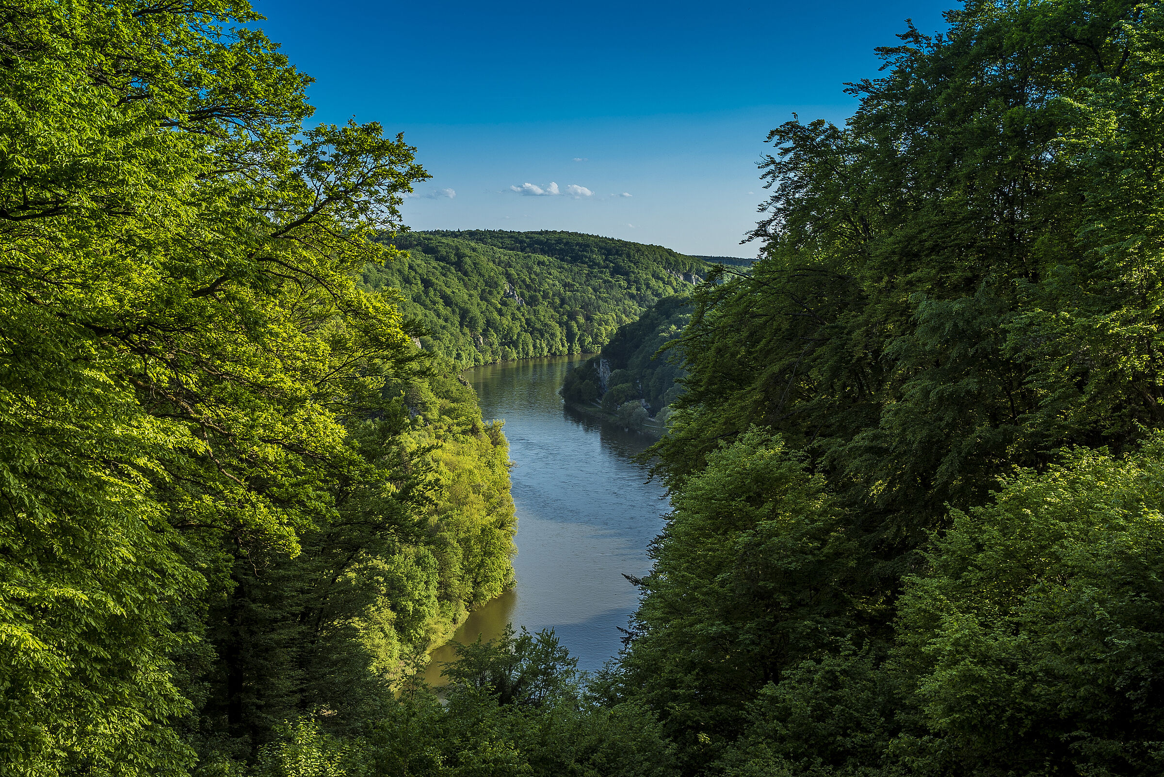 Donaudurchbruch zwischen grün bewaldeten Hügeln, von oben fotografiert