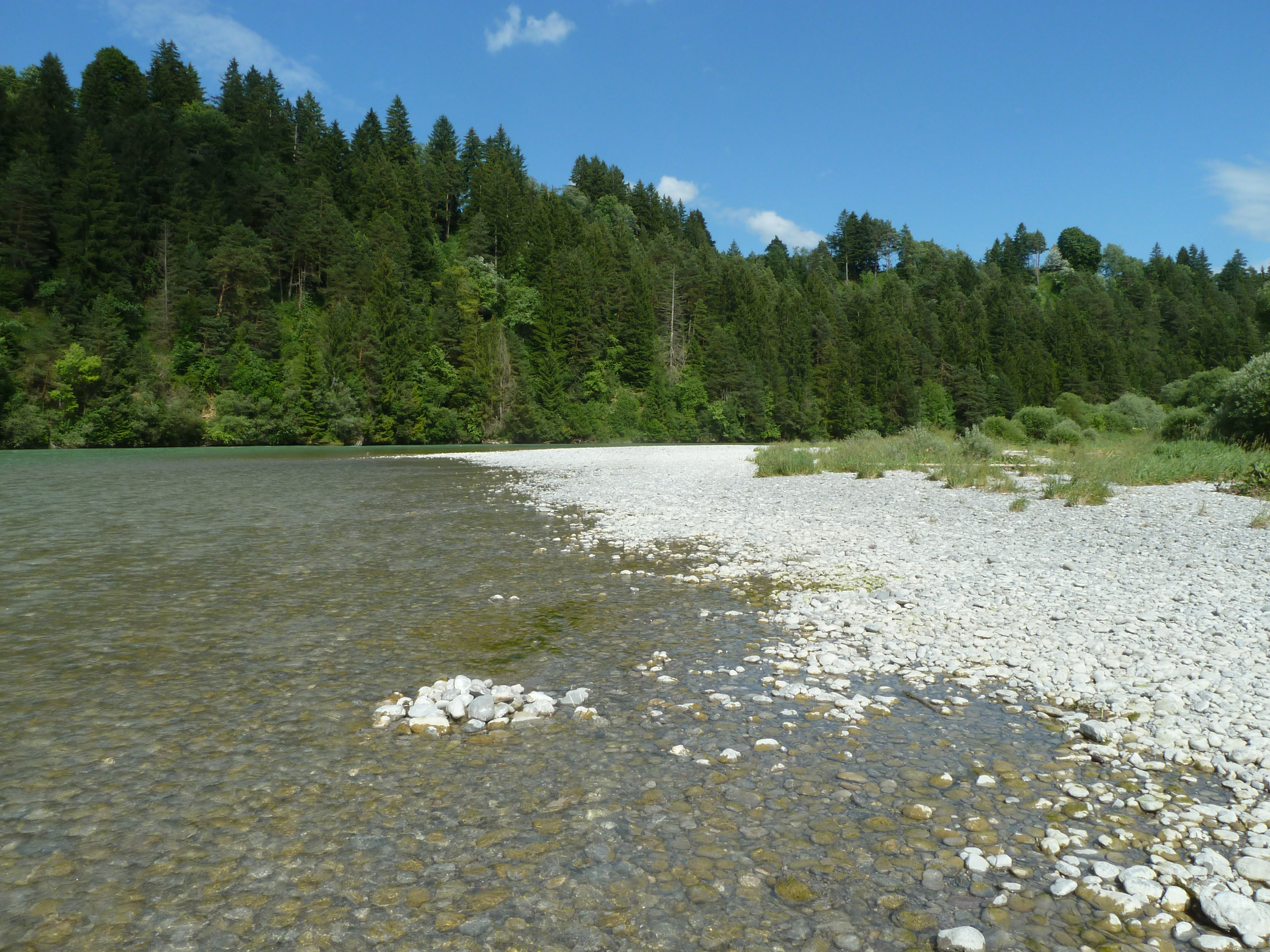 Blick auf einen natürlichen Kiesstrand am Lech: Der Lech ist verbaut, nur die gerettete Litzauer Schleife vermittelt noch einen Eindruck von der natürlichen Schönheit des Flusses in früheren Zeiten. (Foto: Berner)