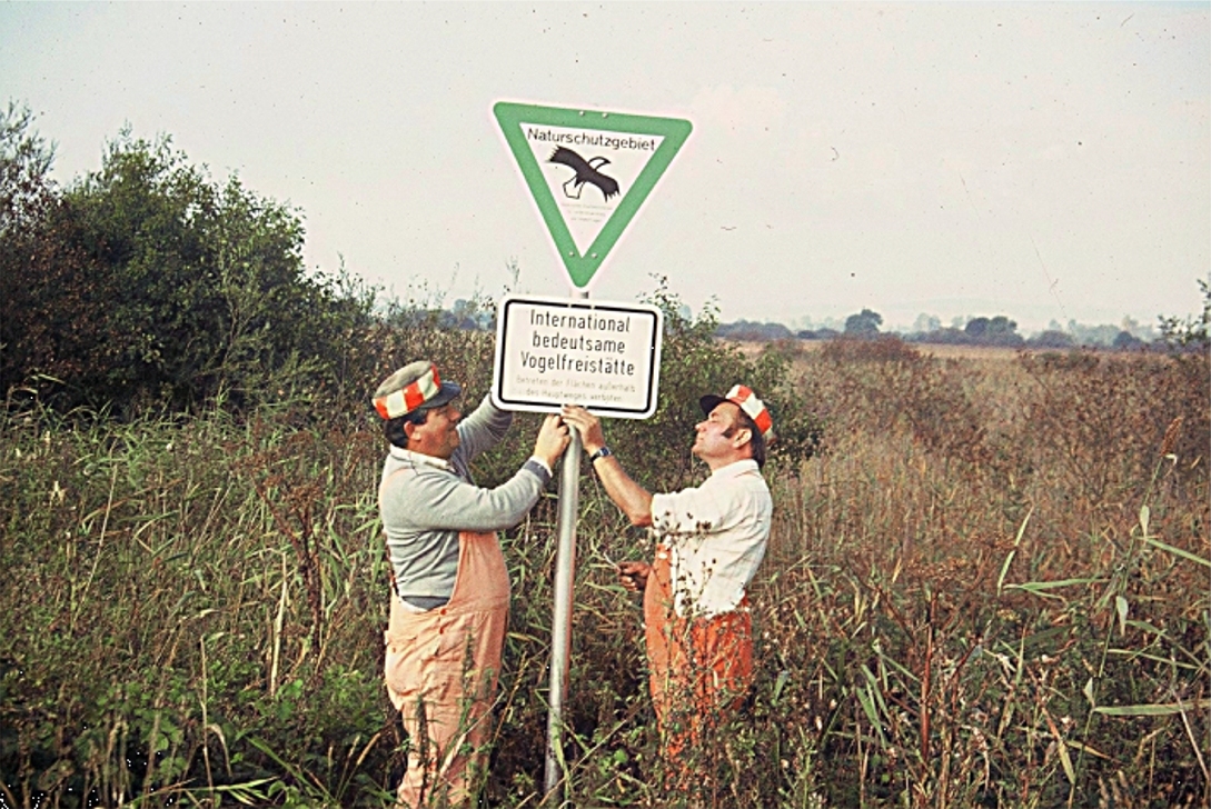 Zwei Arbeiter stellen das Schild Naturschutzgebiet auf: 1984 wird die Mertinger Höll zum Naturschutzgebiet. (Foto: BN)