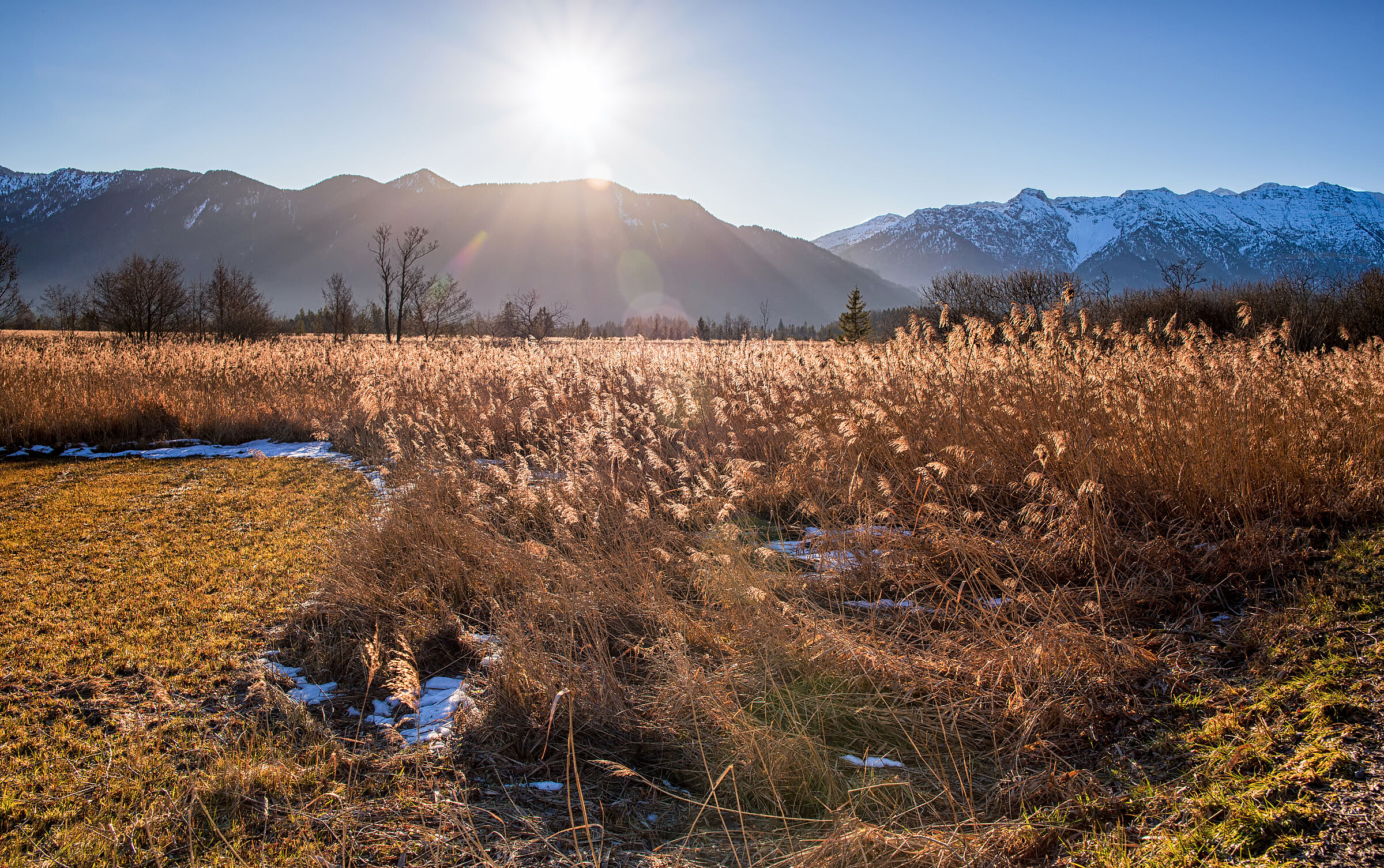 Blick über das Murnauer Moos im Herbstlicht (Foto: Martina Schikore/stock.adobe.com)