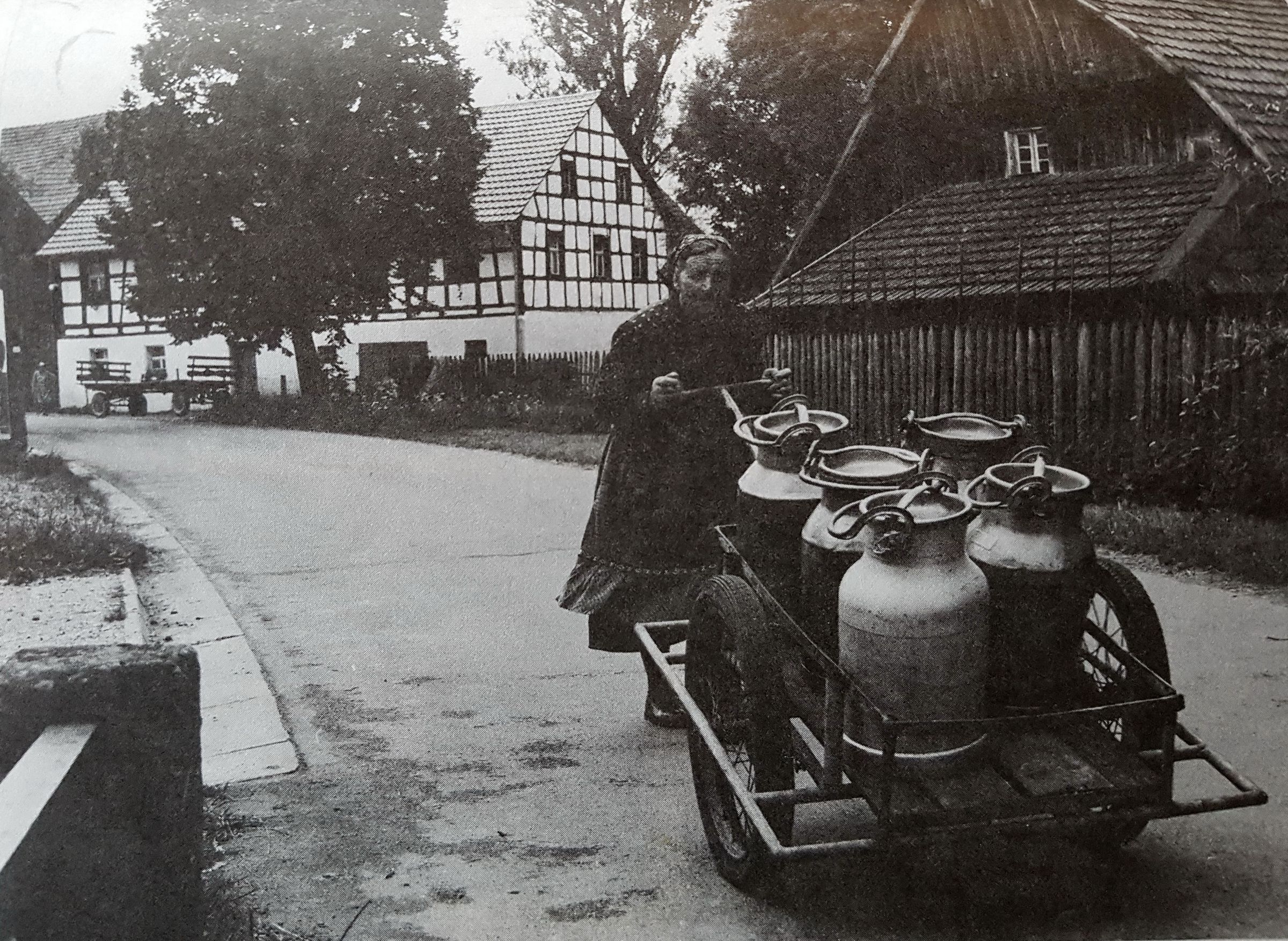 Bäuerin mit Milchwagen im Püttlachtal. (Foto aus der Studienarbeit der TU Berlin von 1981).