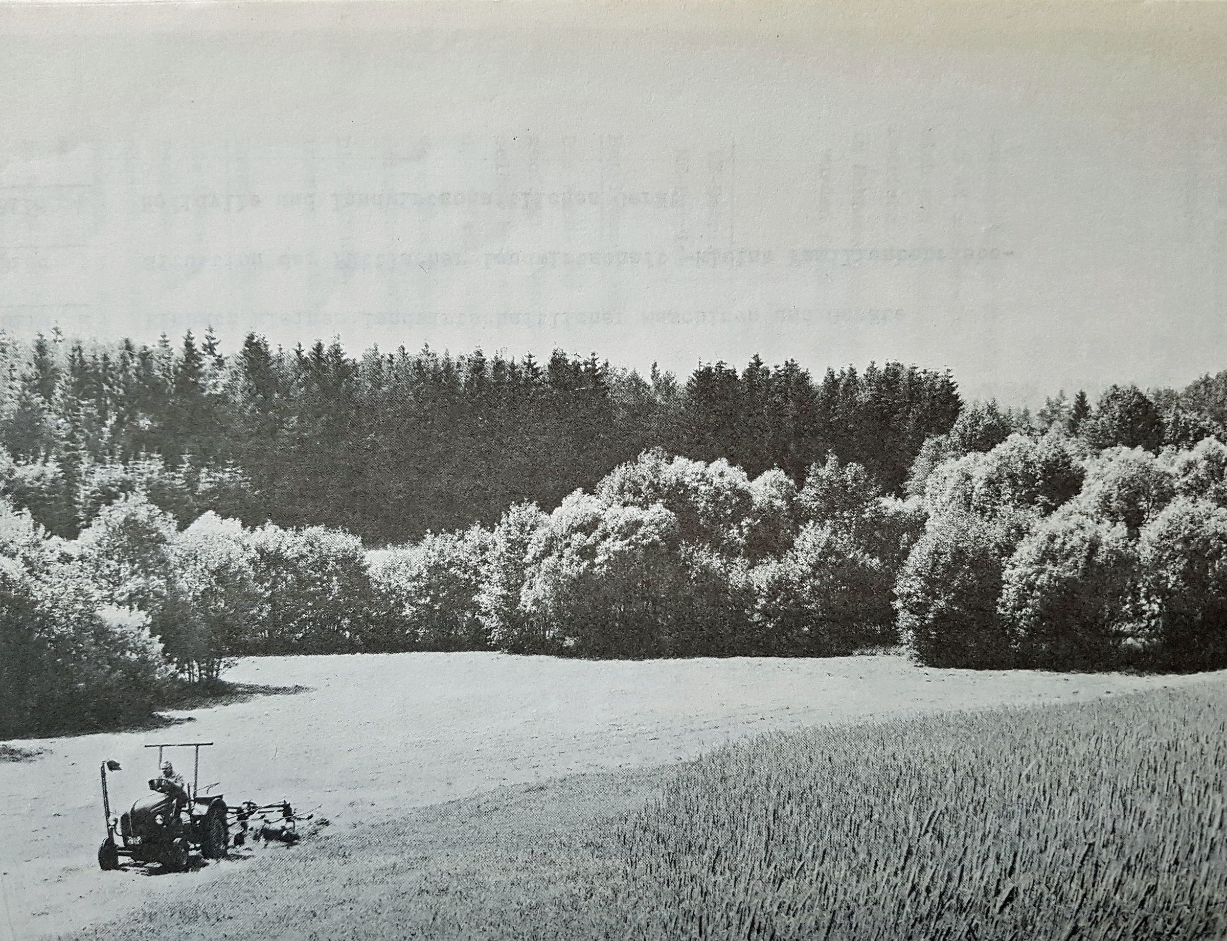 Heu-Ernte im Püttlachtal anno 1980. (Foto aus der Studienarbeit der TU Berlin von 1981).