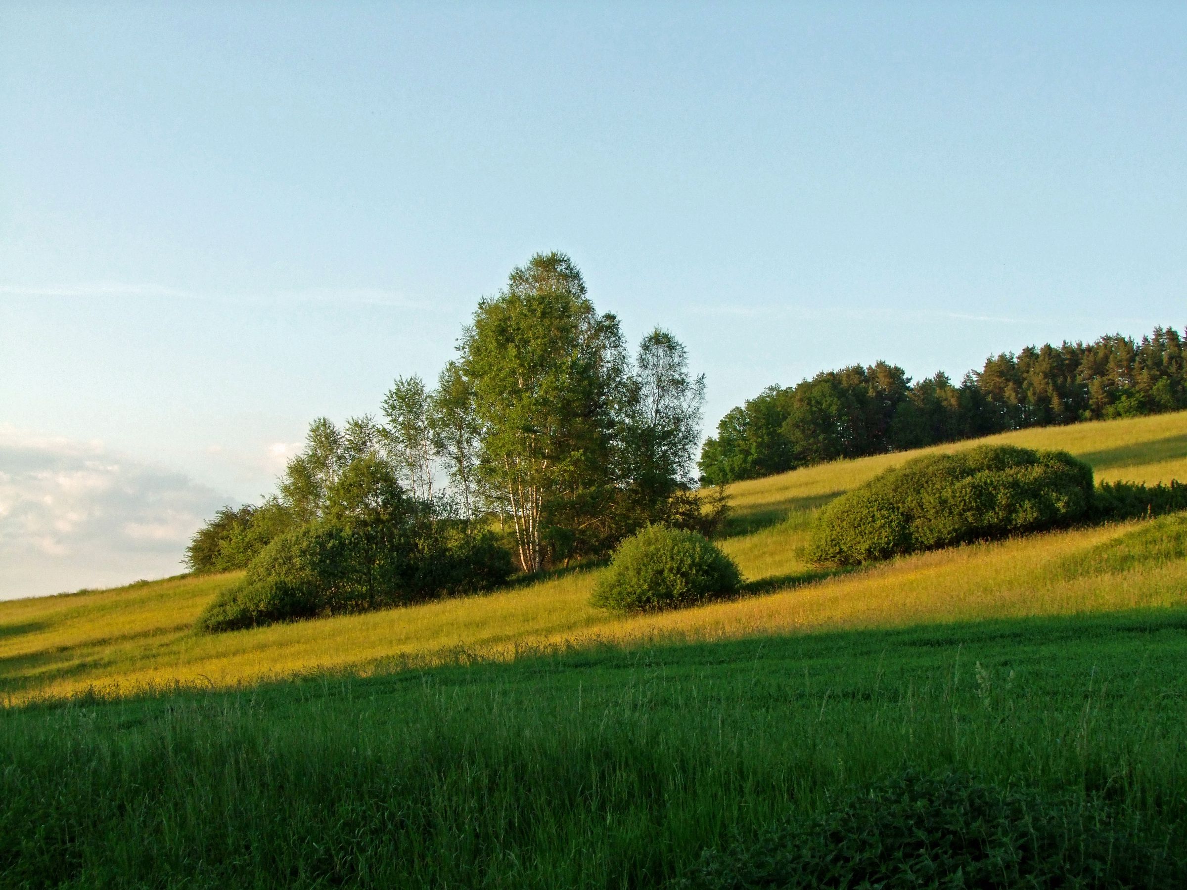 Abendlicht im Püttlachtal