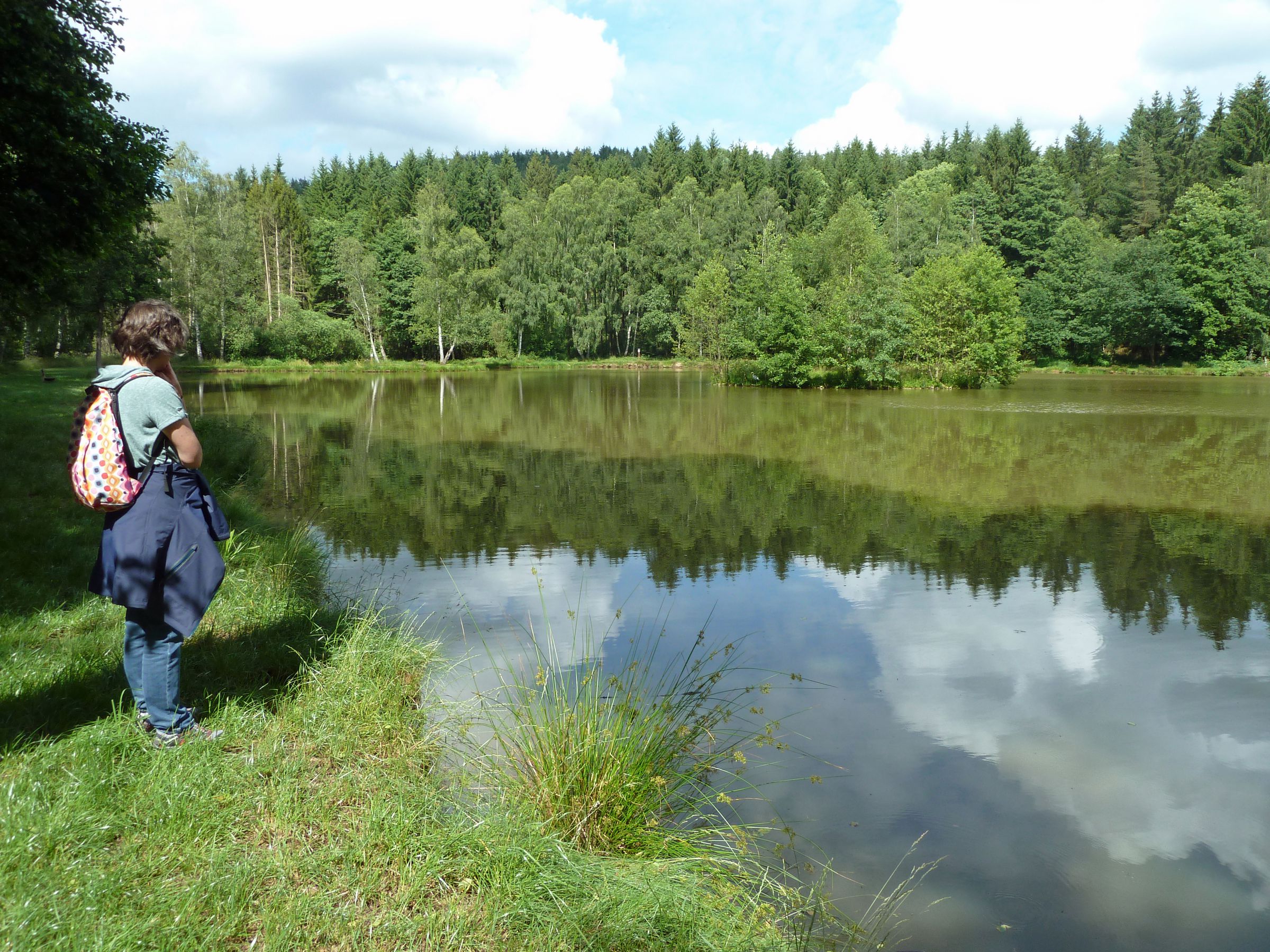 Weiher im Püttlachtal