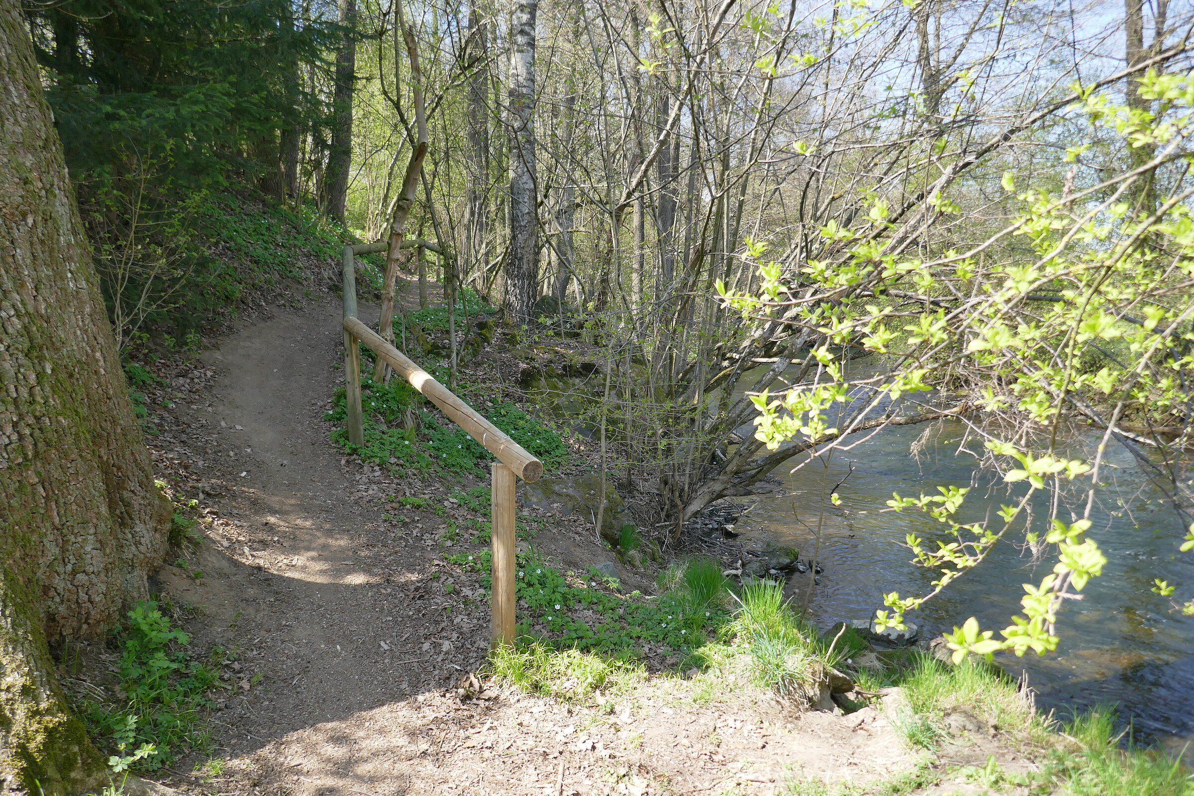 Ein schmaler Wanderweg am Ufer entlang, der Boden ist uneben und zum Gewässer hin geneigt