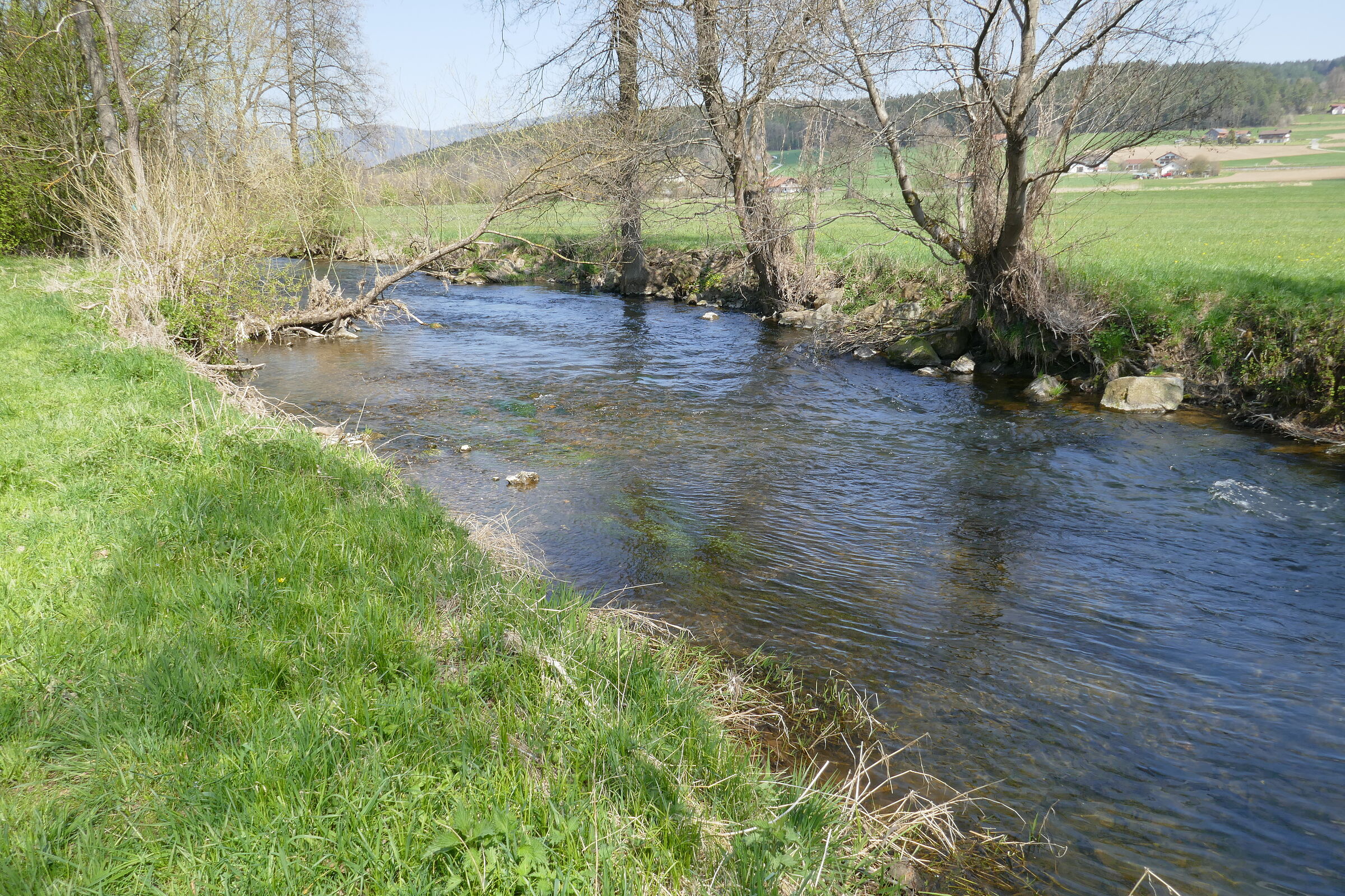 Ein Blick auf das klare Wasser des Flusses. Beide Ufer sind von Gras bewachsen und fallen zum Wasser hin leicht ab. An beiden Seiten stehen Bäume, die noch kein Laub tragen