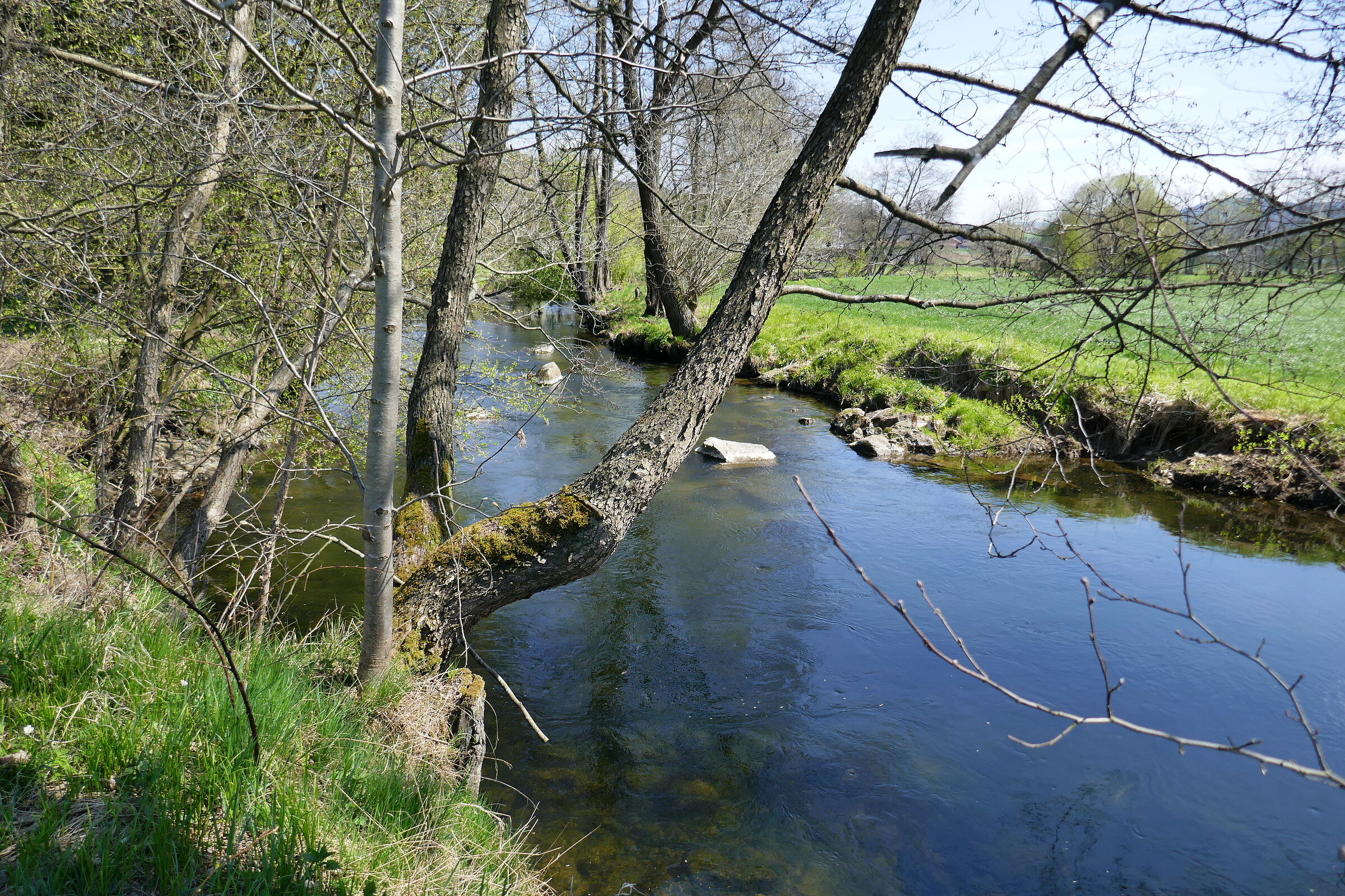 Der weiße Regen bei ruhig wirkendem Gewässer, ein paar kahle Zweige strecken sich in Richtung des anderen Ufers. Die Ufer sehen natürlich aus, im Fluss liegen ein paar Felsen