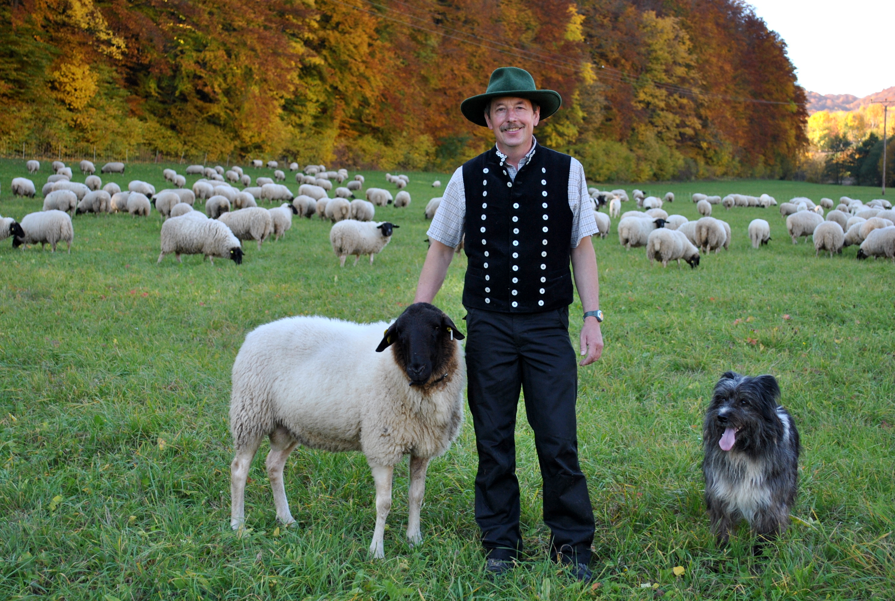 Landwirtschaftsmeister Josef Kolb mit seiner Rhönschafherde und Hütehund. (Foto: Vossenkaul)