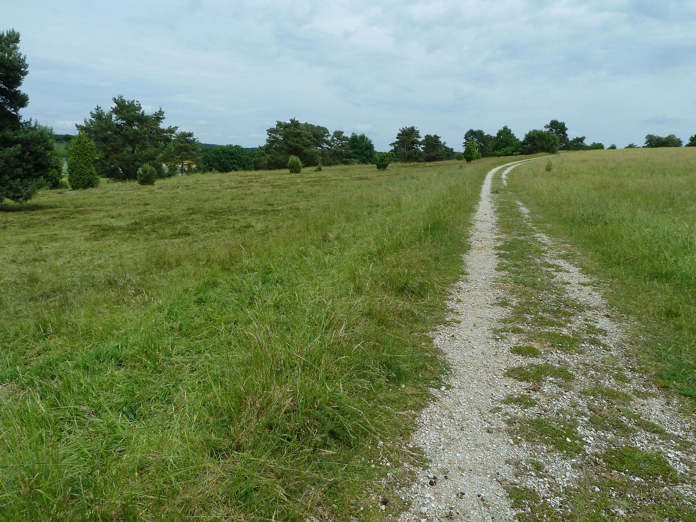 Ein geschotterter Weg führt durch die Sandharlander Heide: Artenvielfalt braucht möglichst vielfältige Strukturen. (Foto: Winfried Berner)
