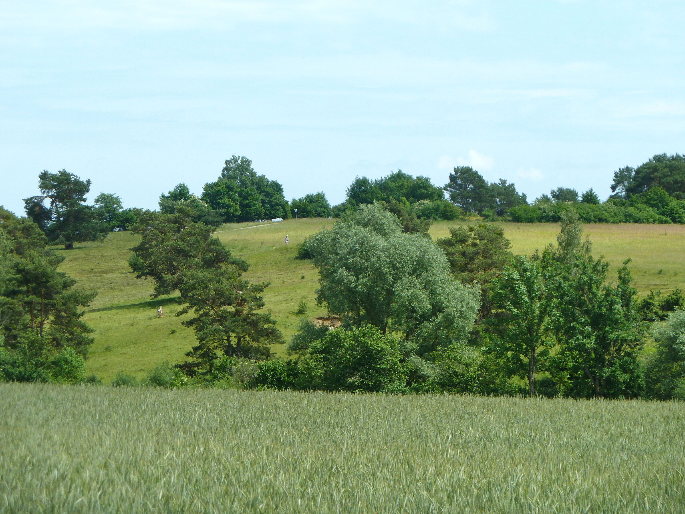 Blick vom gegenüberliegenden Hang auf die Sandharlander Heide. (Foto: Winfried Berner)