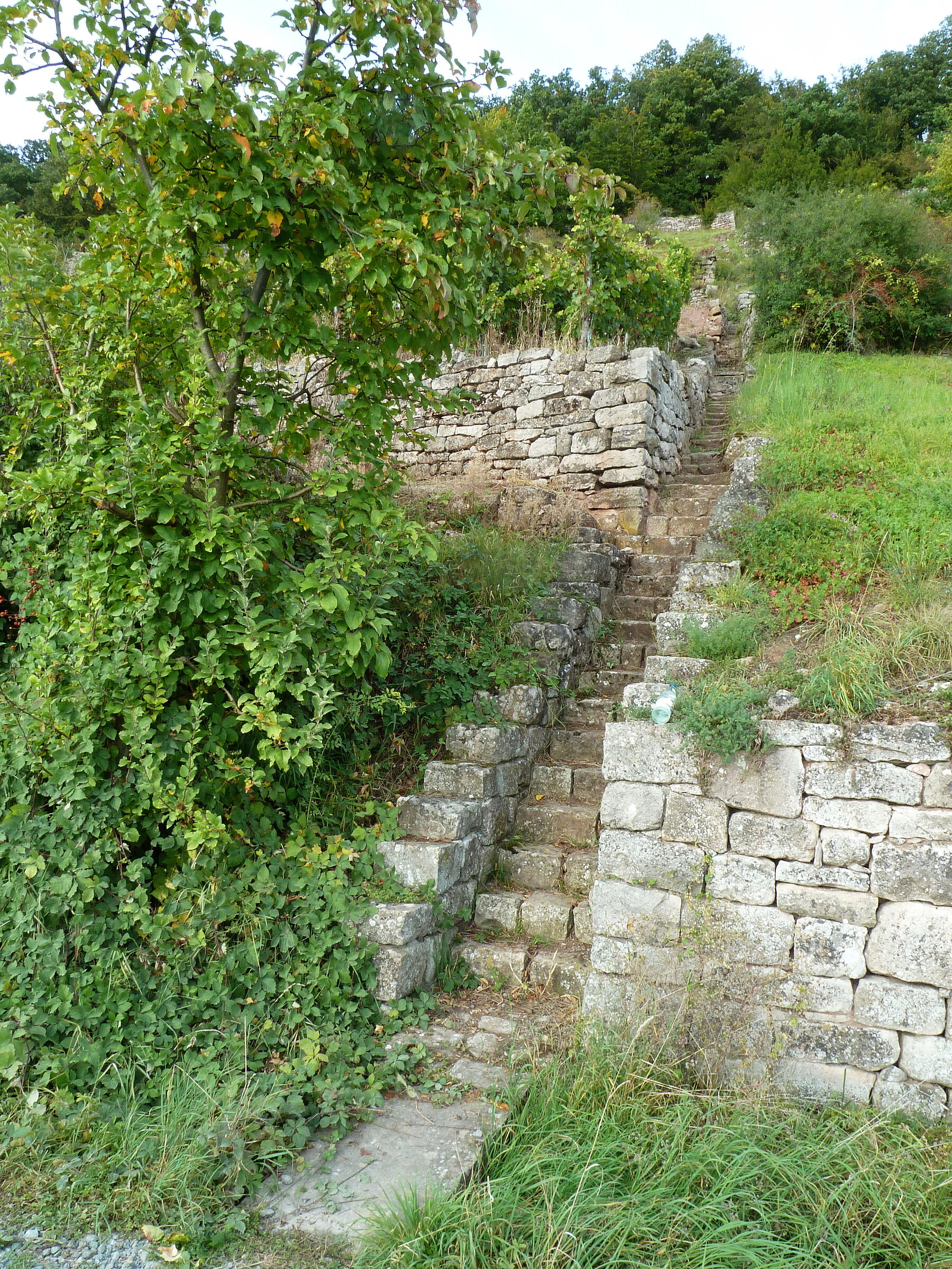 Steinbacher Pfaffenberg: Verwinkelte Steintreppen sind ein Augenschmaus. (Foto: Winfried Berner)