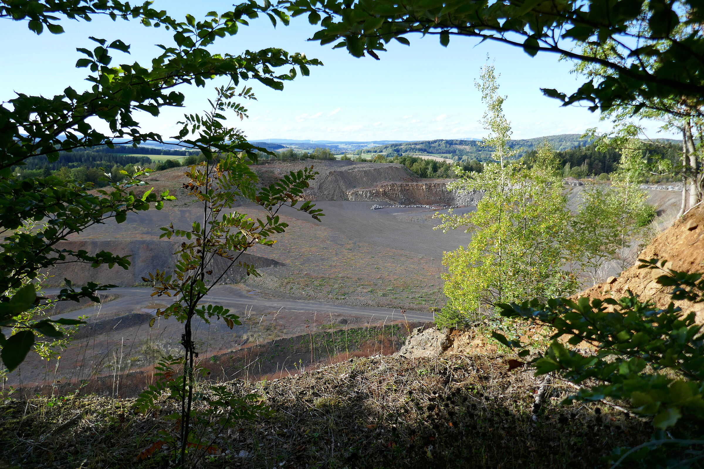 Der Blick vom Hang des Teichelbergs, auf dem noch ein paar Bäume wachsen auf eine trostlose, abgegrabene Landschaft: Ein großes Abbaugebiet, in dem nur vereinzelt Gräser wachsen. (Foto: Winfried Berner)