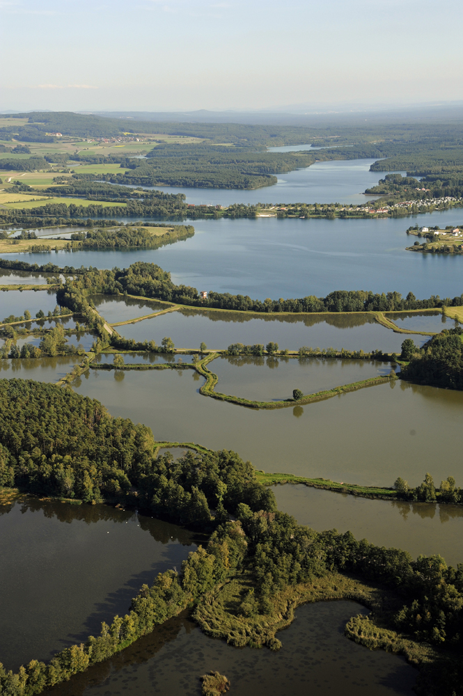 Luftaufnahme über das Oberpfälzer Seenland (Foto: Günter Moser/Zweckverband Oberpfälzer Seenland)