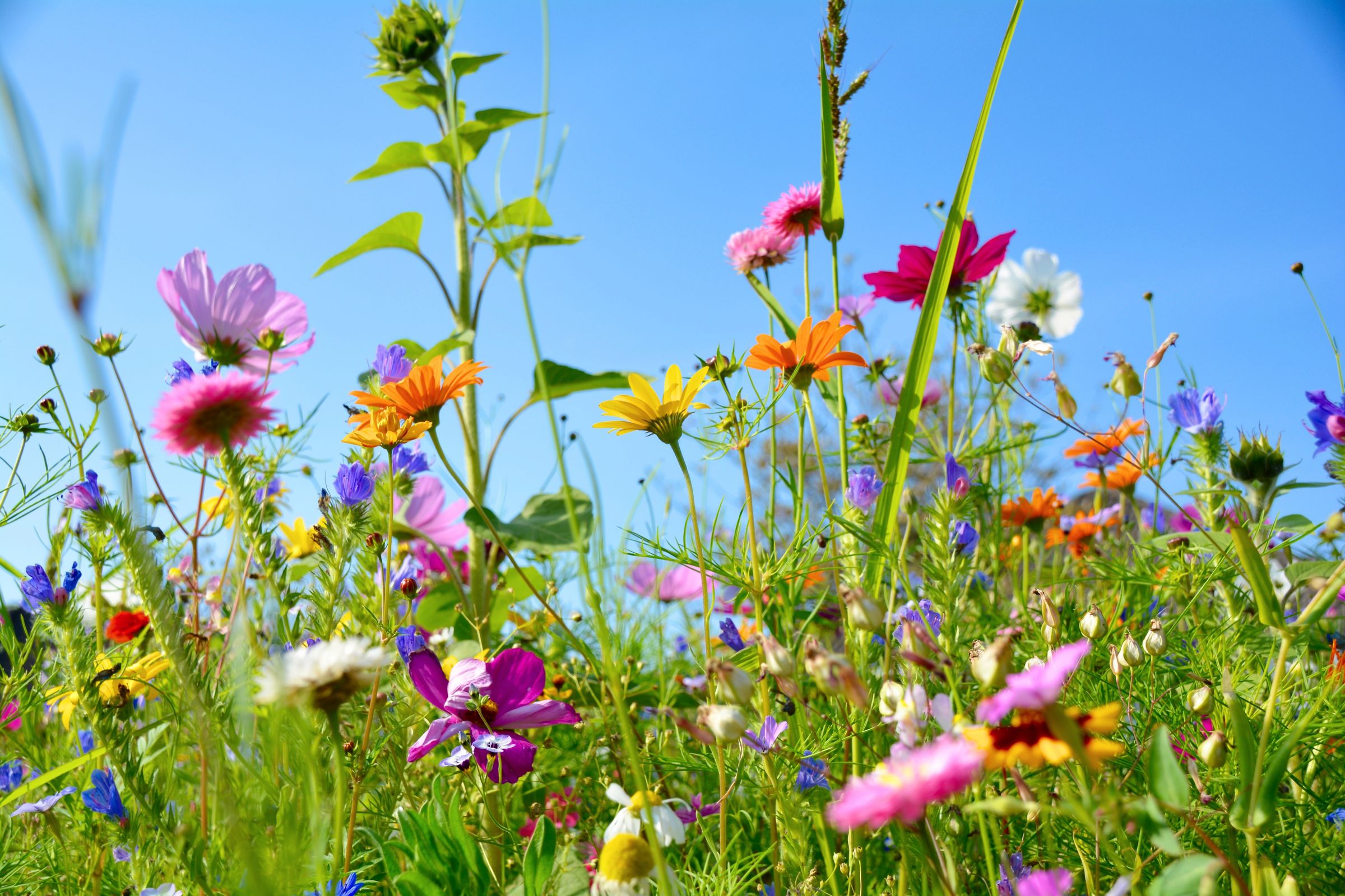 Foto: SHexclusiv / stock.adobe.com