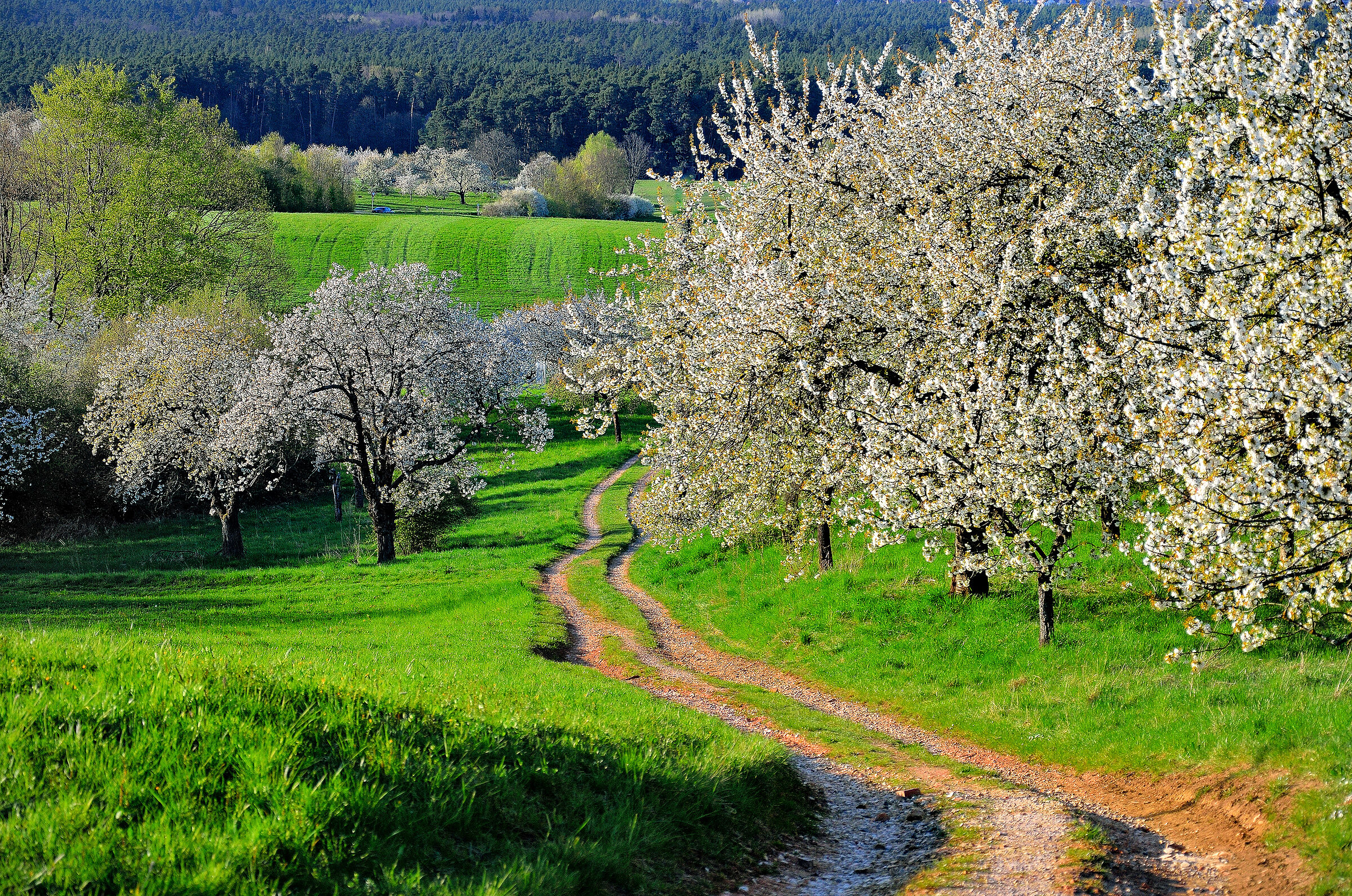 Foto: reimax16/stock.adobe.com)