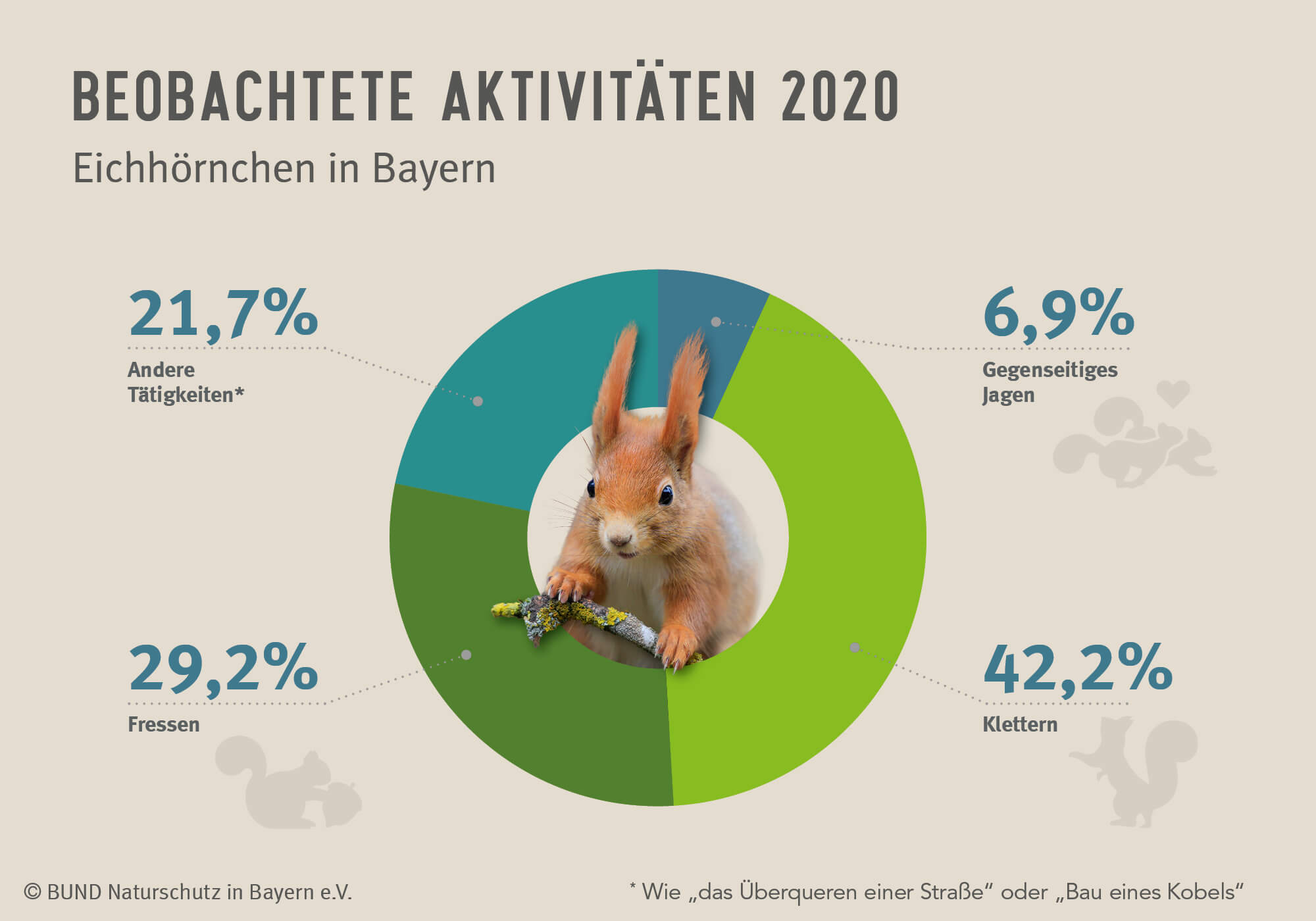 Das Diagramm zeigt für das Jahr 2021, welchen Aktivitäten die gemeldeten Eichhörnchen wie oft nachgingen. 