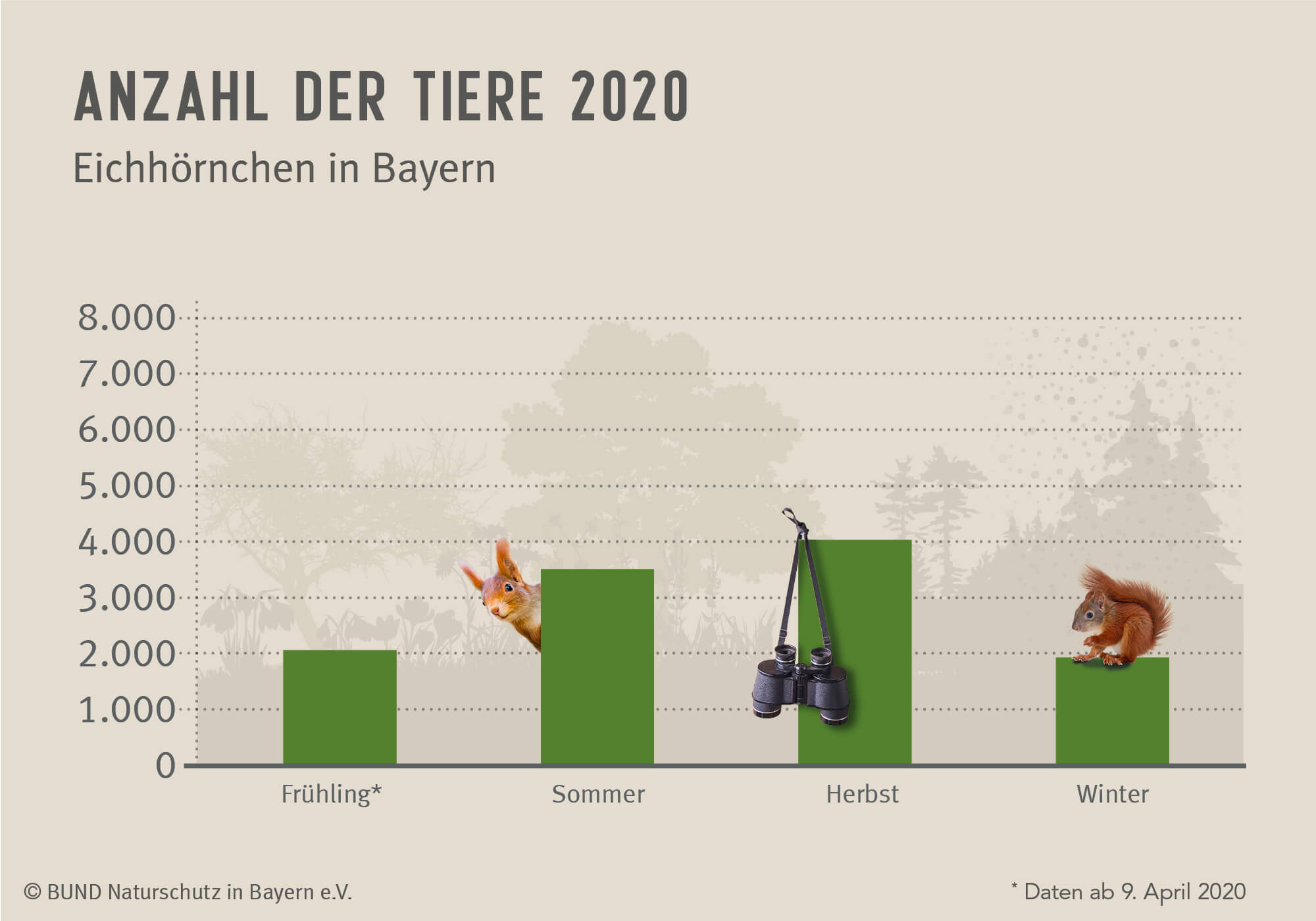 Das Diagramm zeigt, wie viele Eichhörnchen im Jahr 2020 pro Jahreszeit gesichtet wurden.