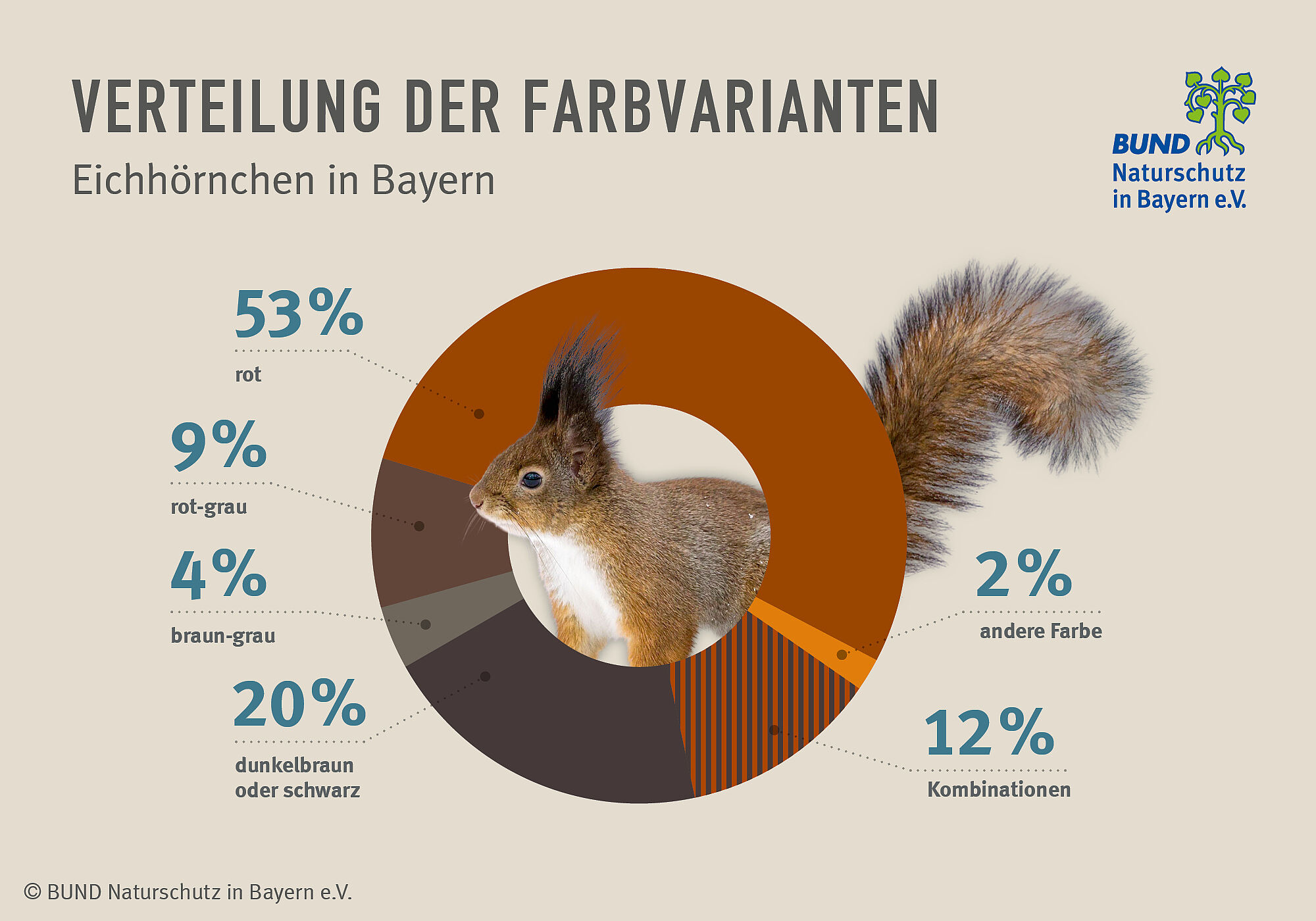 Das Diagramm zeigt, wie oft die unterschiedlichen Fellfarben prozentual im Jahr 2020 gemeldet wurden.