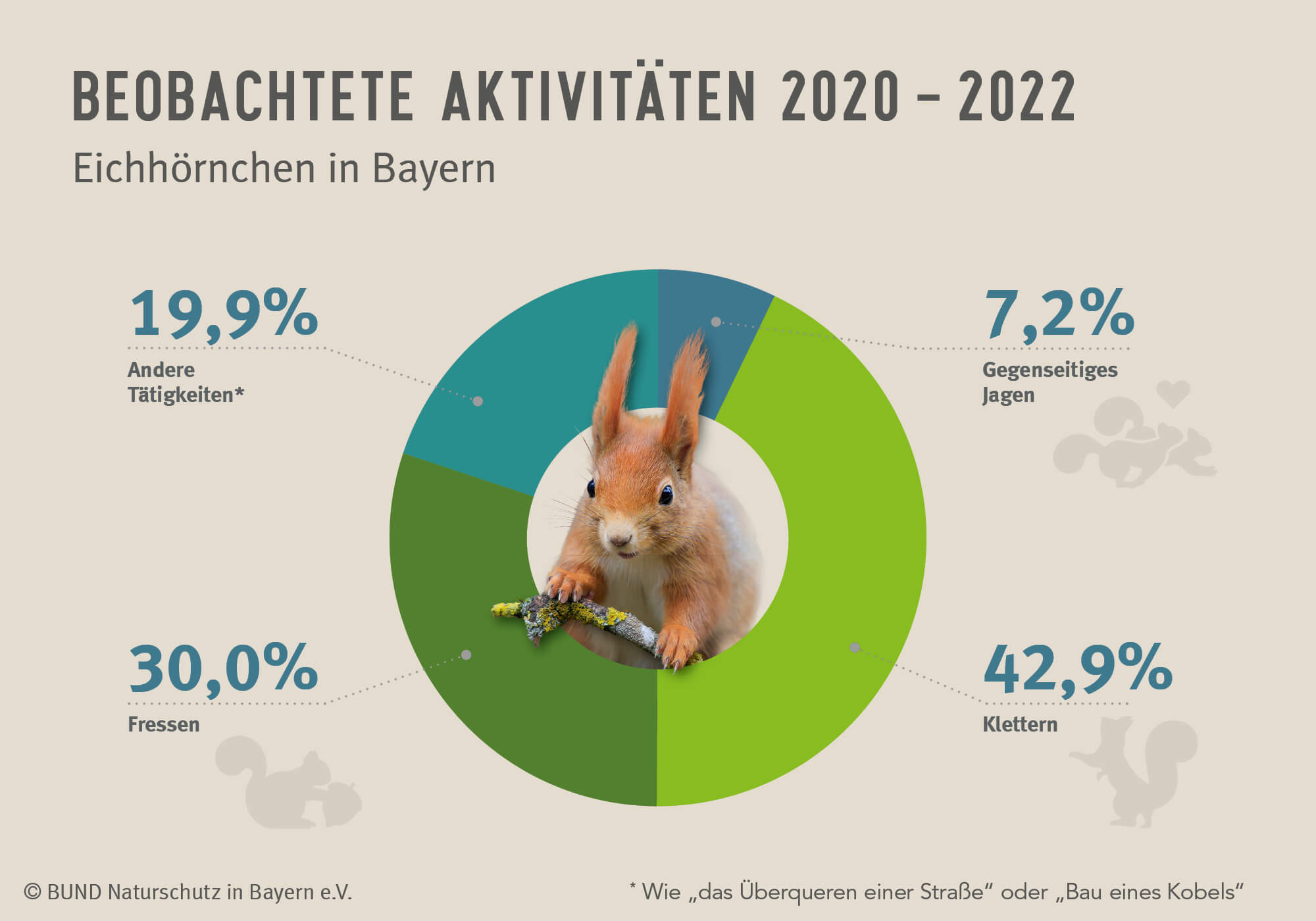 Das Diagramm zeigt für den Zeitraum 2020 bis 2022, welchen Aktivitäten die gemeldeten Eichhörnchen seit dem Start des Projekts "Eichhörnchen in Bayern" im April 2020 wie oft nachgingen. 