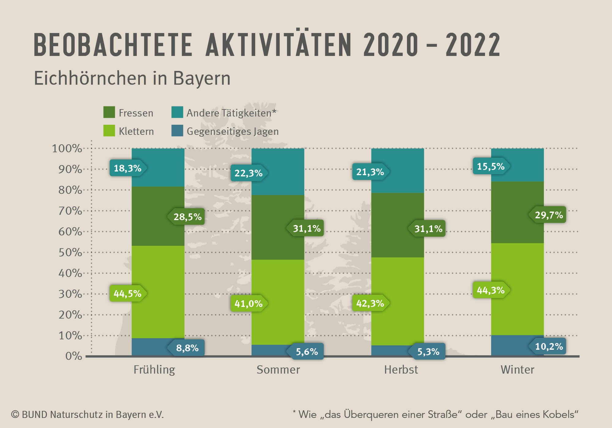 Das Diagramm zeigt, welchen Aktivitäten die gemeldeten Eichhörnchen pro Jahreszeit wie oft nachgingen. Start des Projekts war im April 2022.