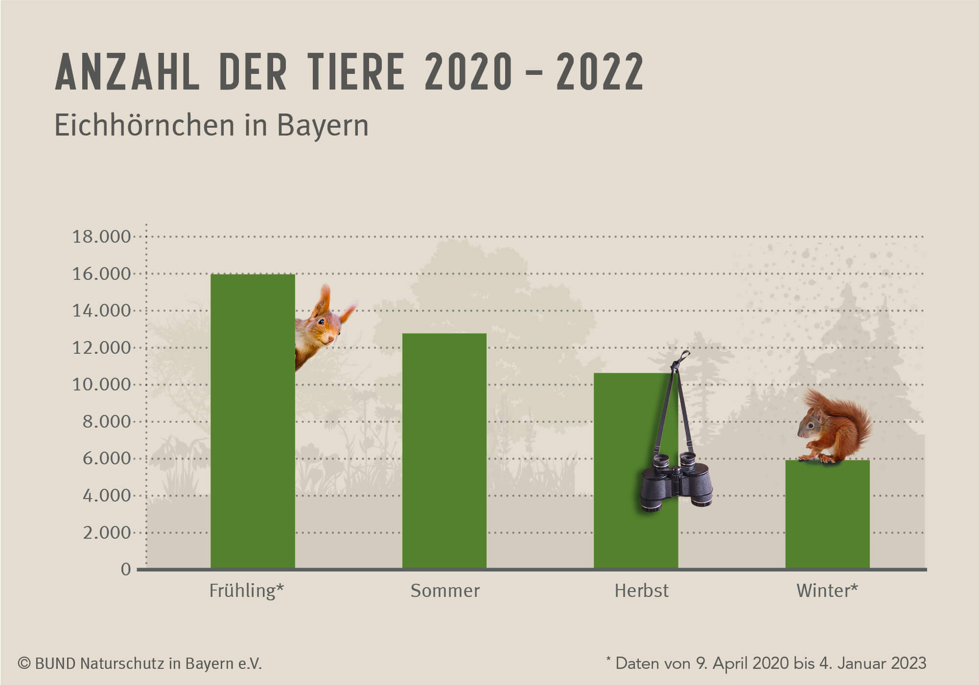 Das Diagramm zeigt, wie viele Eichhörnchen pro Jahreszeit seit dem Start des Projekts "Eichhörnchen in Bayern" im April 2020 eingingen.