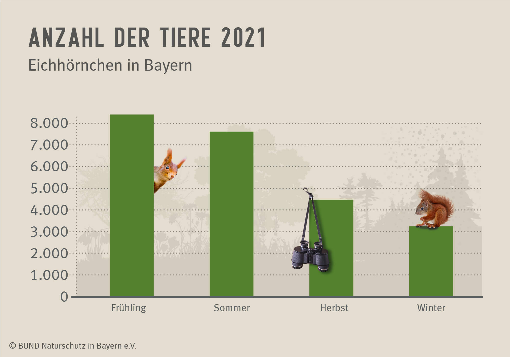 Das Diagramm zeigt, wie viele Eichhörnchen im Jahr 2021 pro Jahreszeit gesichtet wurden.
