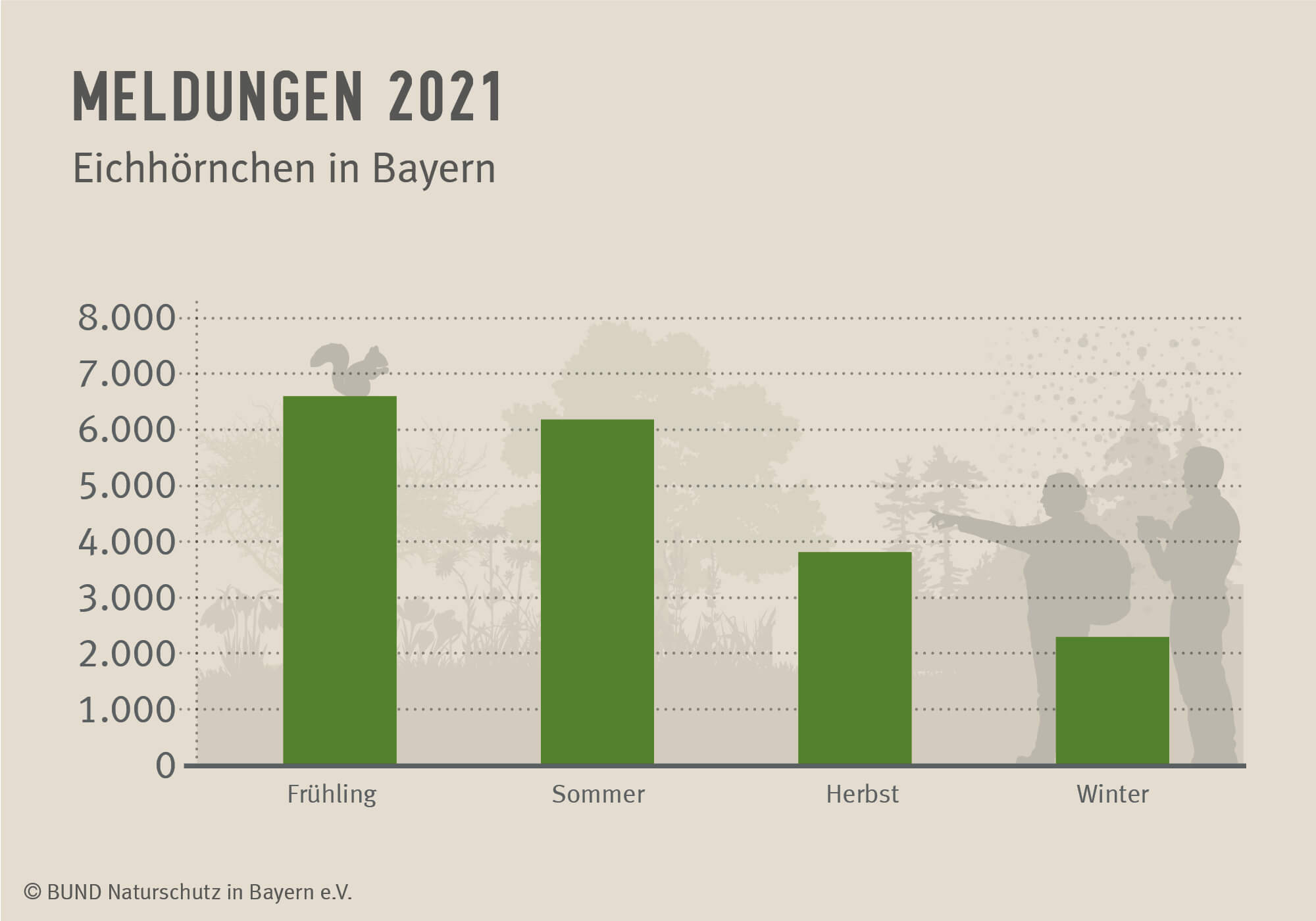 Das Diagramm zeigt, wie viele Meldungen von Eichhörnchen pro Jahreszeit im Jahr 2021 eingingen.