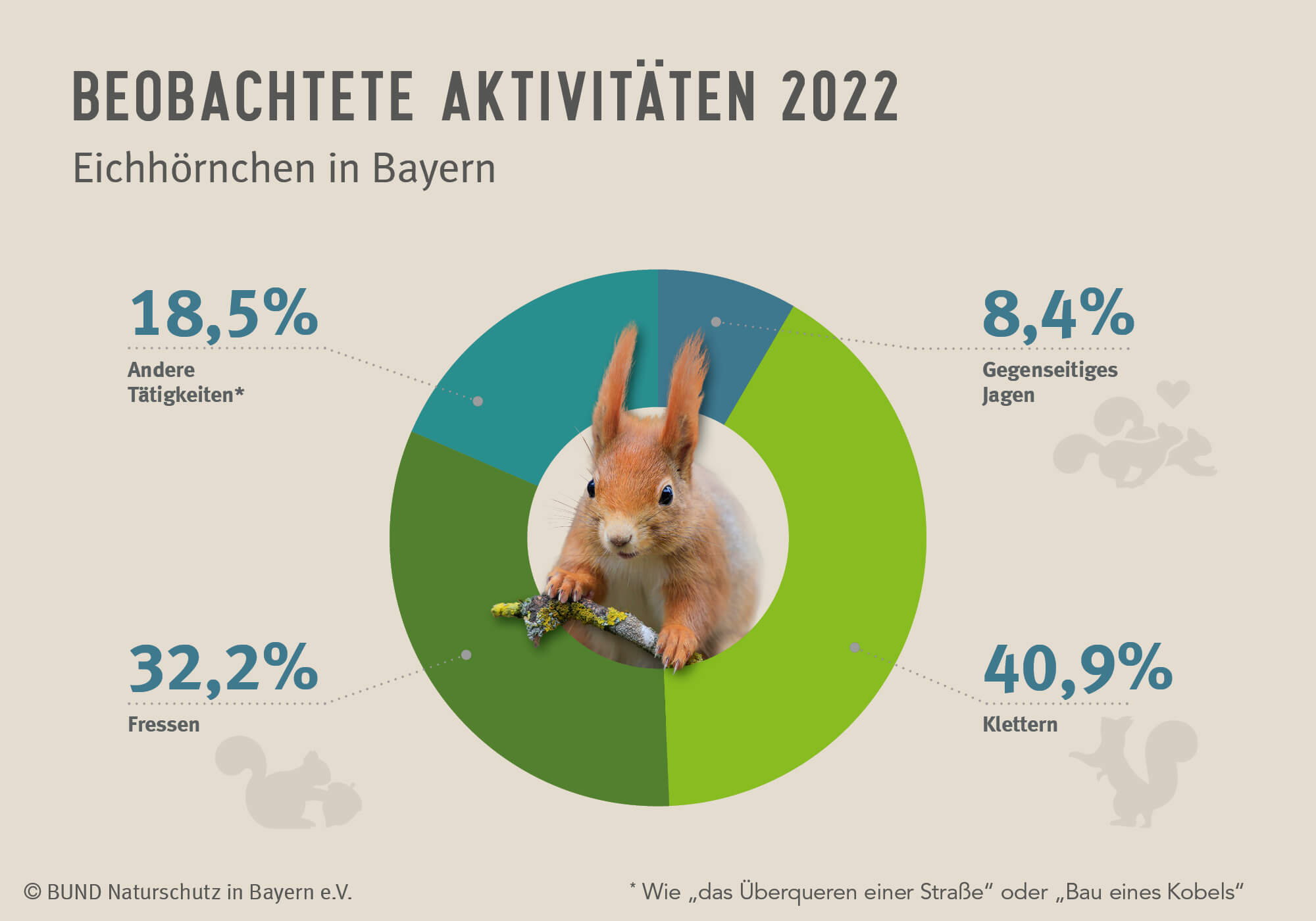 Das Diagramm zeigt für das Jahr 2022, welchen Aktivitäten die gemeldeten Eichhörnchen wie oft nachgingen. 