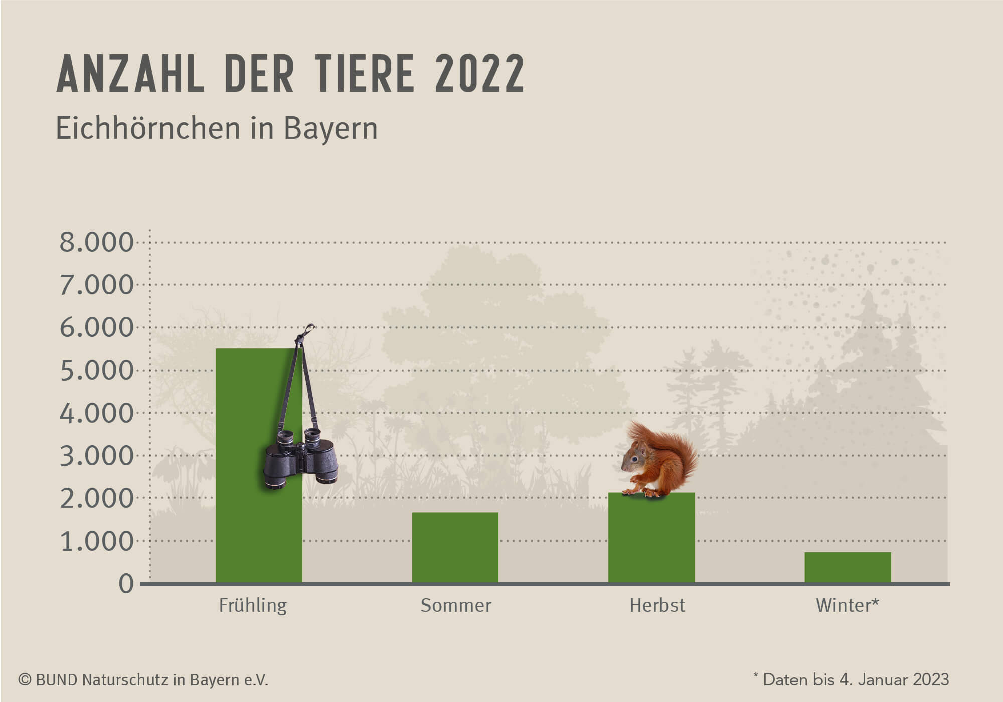 Das Diagramm zeigt, wie viele Eichhörnchen im Jahr 2022 pro Jahreszeit gesichtet wurden.