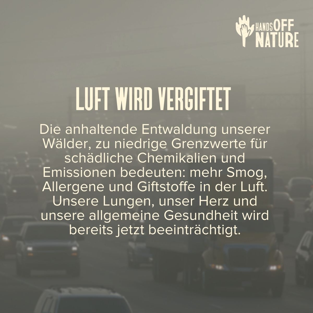 „Absenkung von Schutzstandards“ klingt abstrakt und harmlos. In Wirklichkeit hat es sehr konkrete Folgen, zum Beispiel für die Qualität unserer Atemluft. Deshalb: Hände weg von den Naturschutzgesetzen! Hands off Nature: Hände weg von der Natur! Wir brauchen die strengen europäischen Schutzstandards, um die Qualität unserer Atemluft zu sichern.