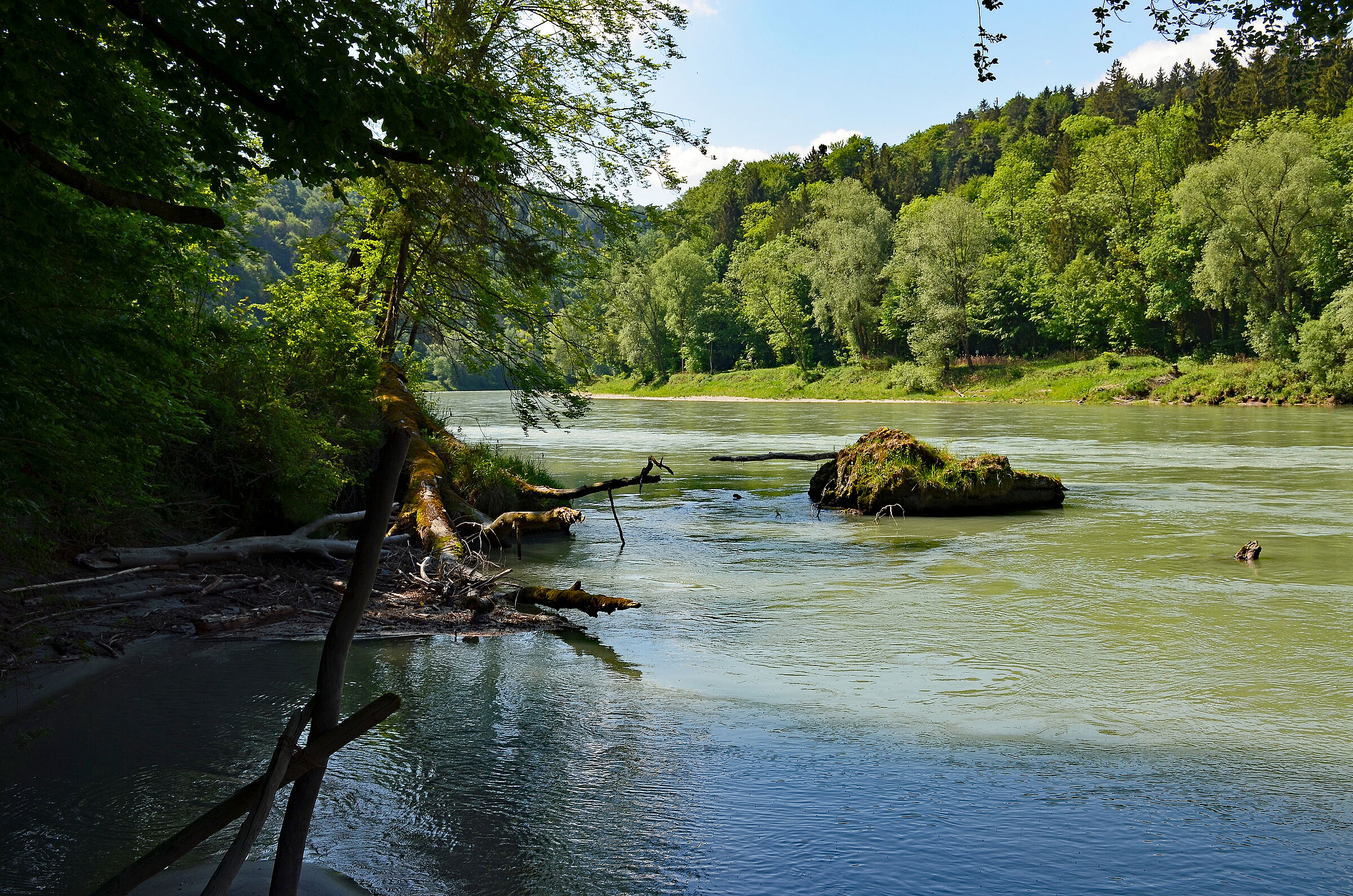 Die Salzach ist Bayerns letzter Voralpenfluss ohne Wasserkraftwerke. Dieses Jahr könnte zu einem Schicksalsjahr für die Salzach werden: Wird der Natur am Fluss Raum gelassen oder ein zerstörerisches Wasserkraftwerk errichtet? (Foto: Gerhard Merches)