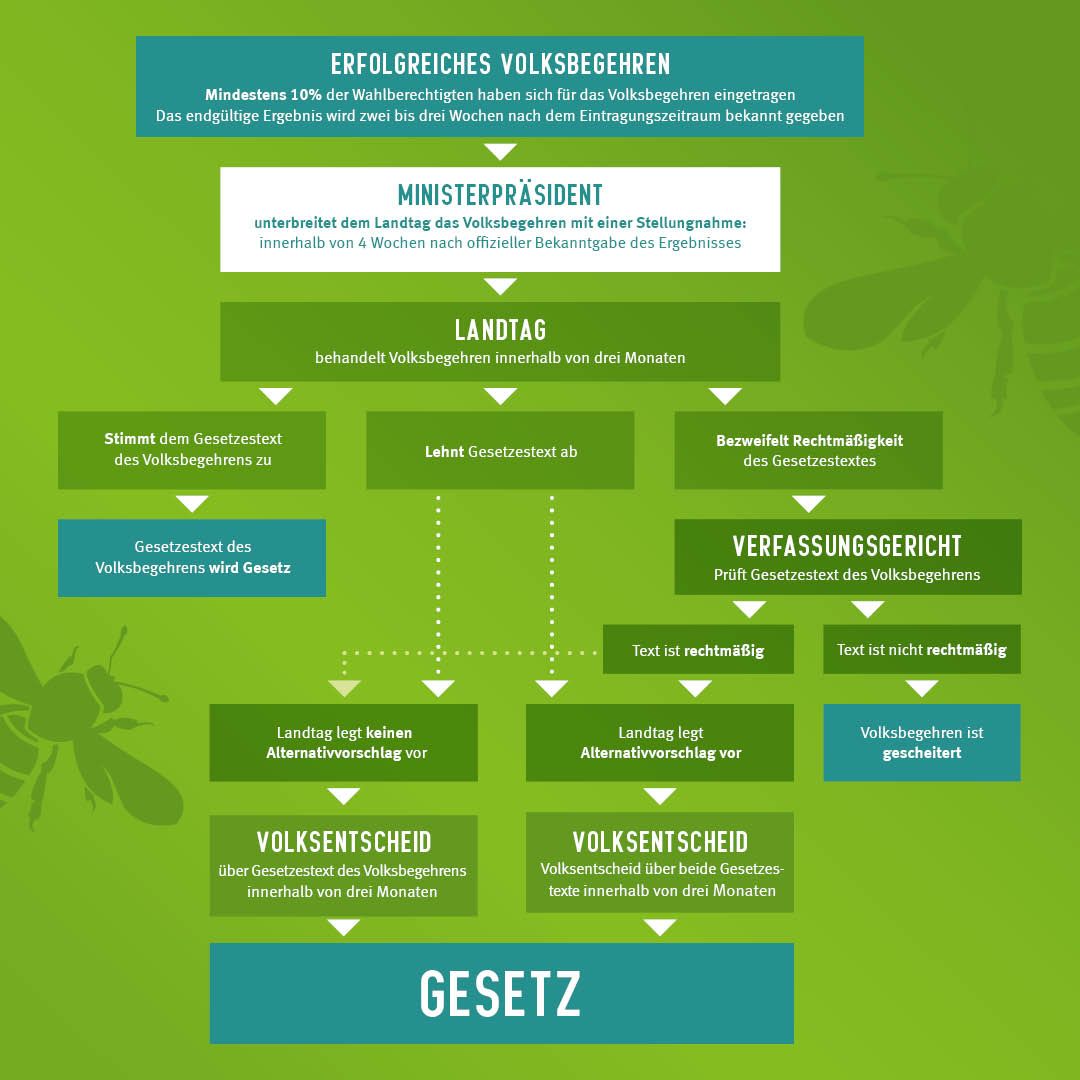 Vom Volksbegehren zum Volksentscheid: So geht es jetzt weiter (Grafik: BN).