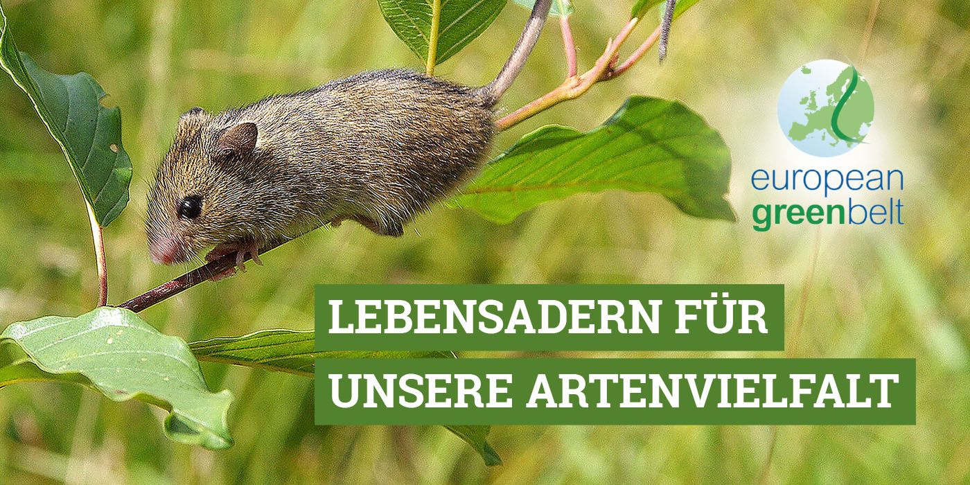 Foto: Richard Kraft