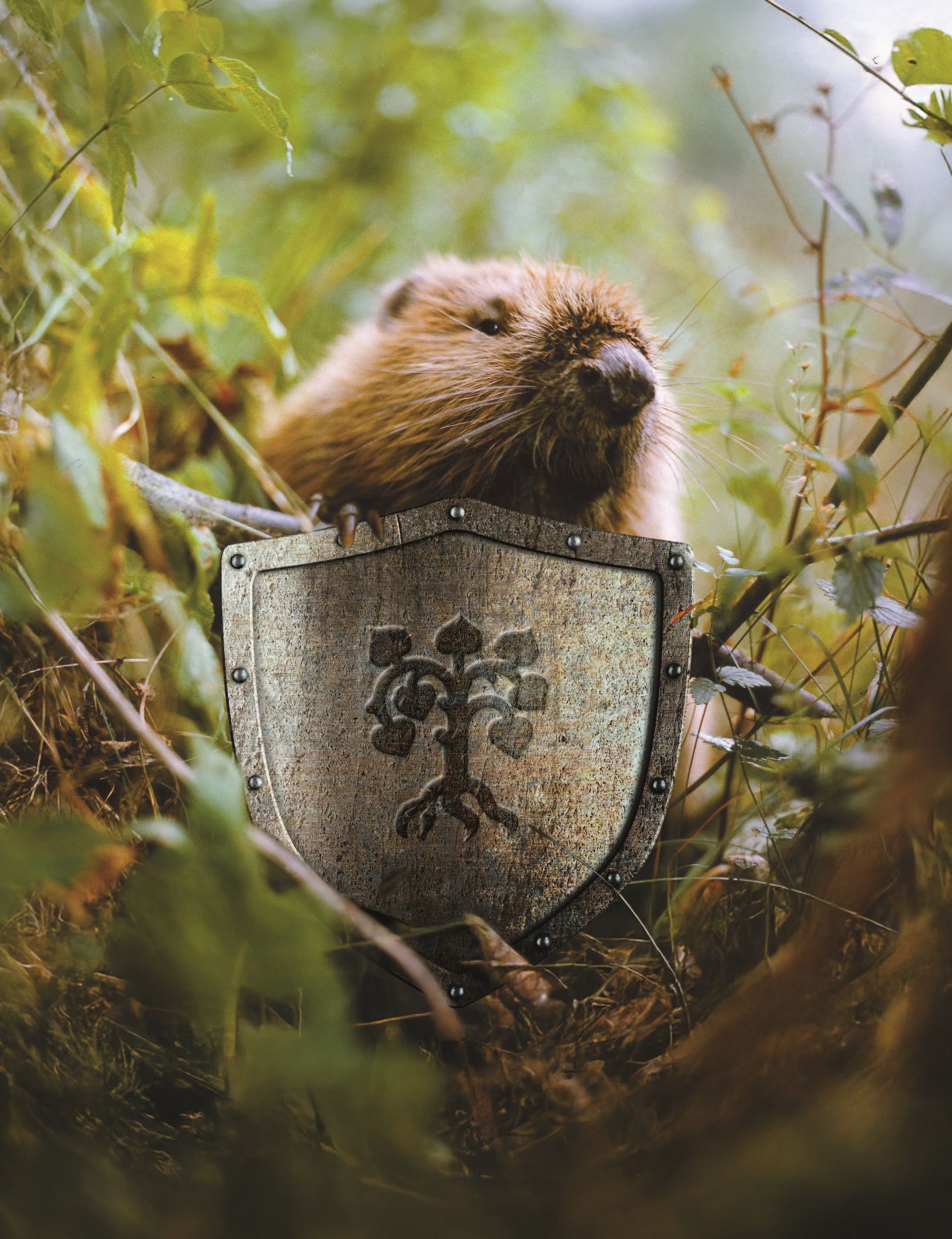 Foto: adventure@stock.adobe.com (Bildmontage mit Schild mittels KI erstellt)