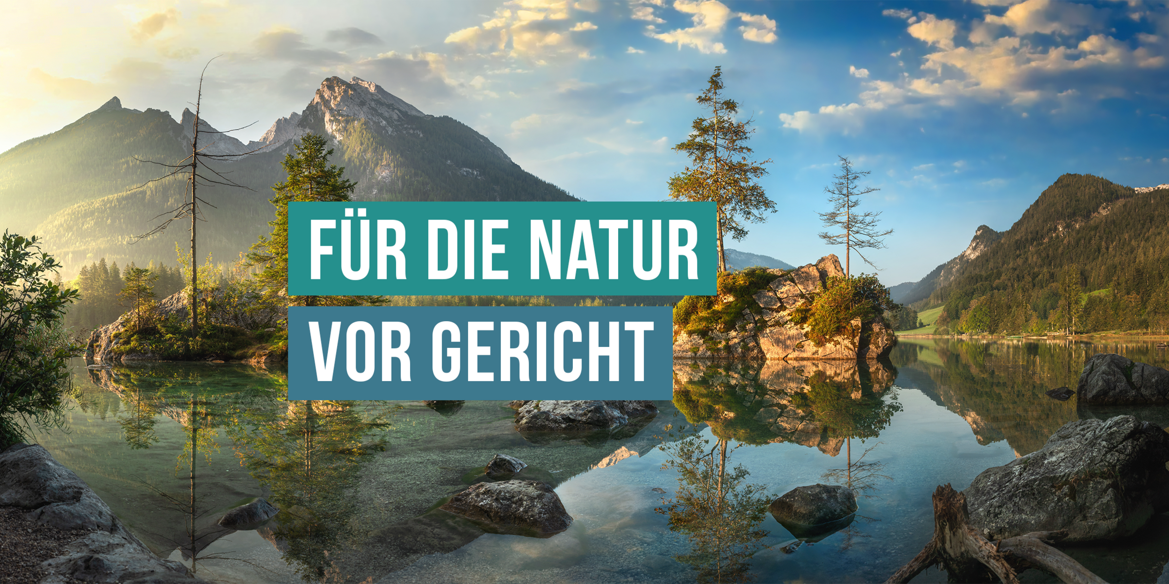 Foto: Smilieus/stock.adobe.com