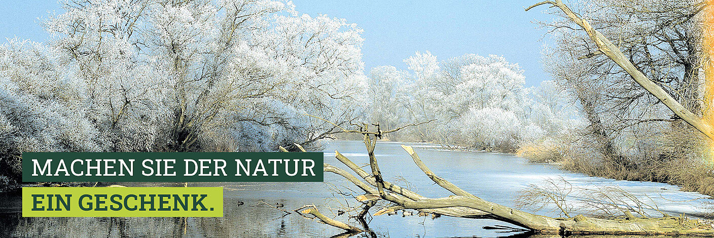 Donau (Foto: Wolfgang Willner)