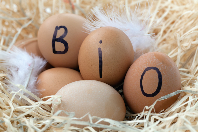 Bio-Eier im Stroh (Foto: yamix/Fotolia) Haltungsform Huhn: Bio-Eier wie diese fünf im Stroh und mit Federn, auf denen BIO geschrieben steht, müssen als solche gekennzeichnet sein. (Foto: yamix/Fotolia)
