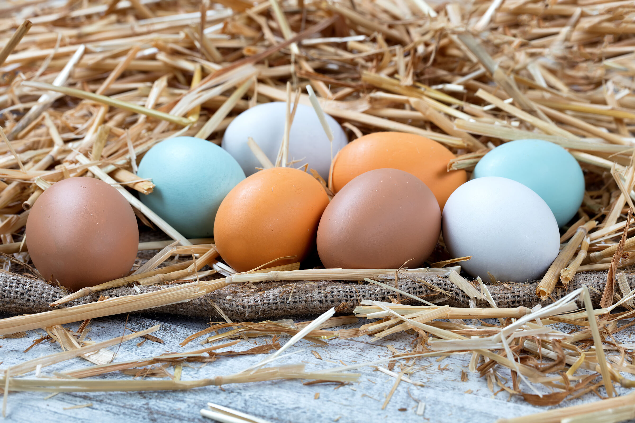 Zum Eierfärben sollten nur Naturfarben verwendet werden (Foto: tab62 - stock.adobe.com).