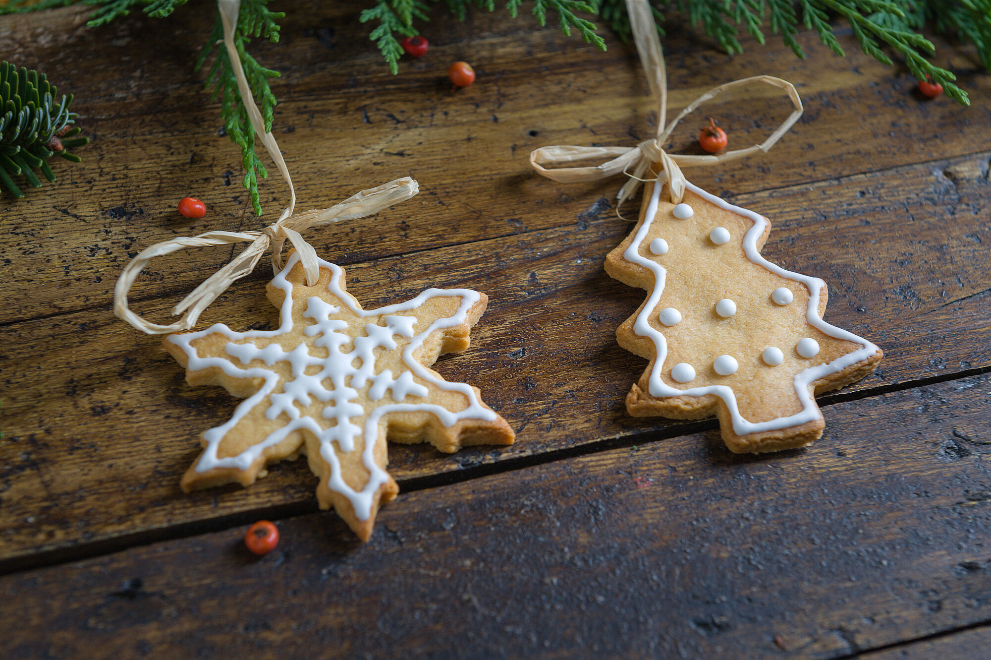 Weihnachten Feiern Bund Naturschutz In Bayern E V