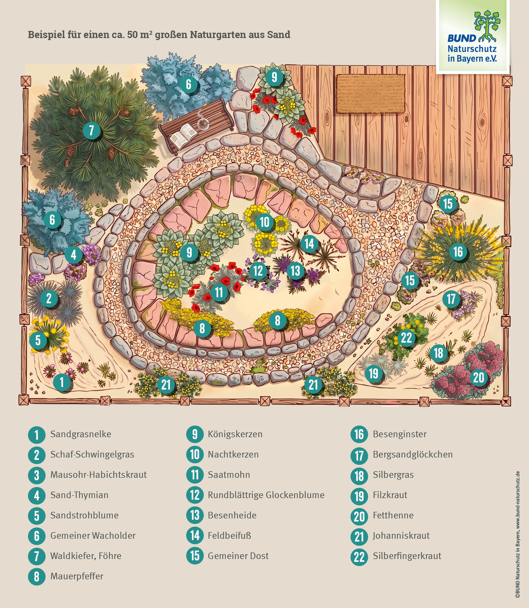 Sandgarten anlegen: Grafik eines kompletten Gartens aus Sand mit typischen Pflanzen und Gestaltungselementen