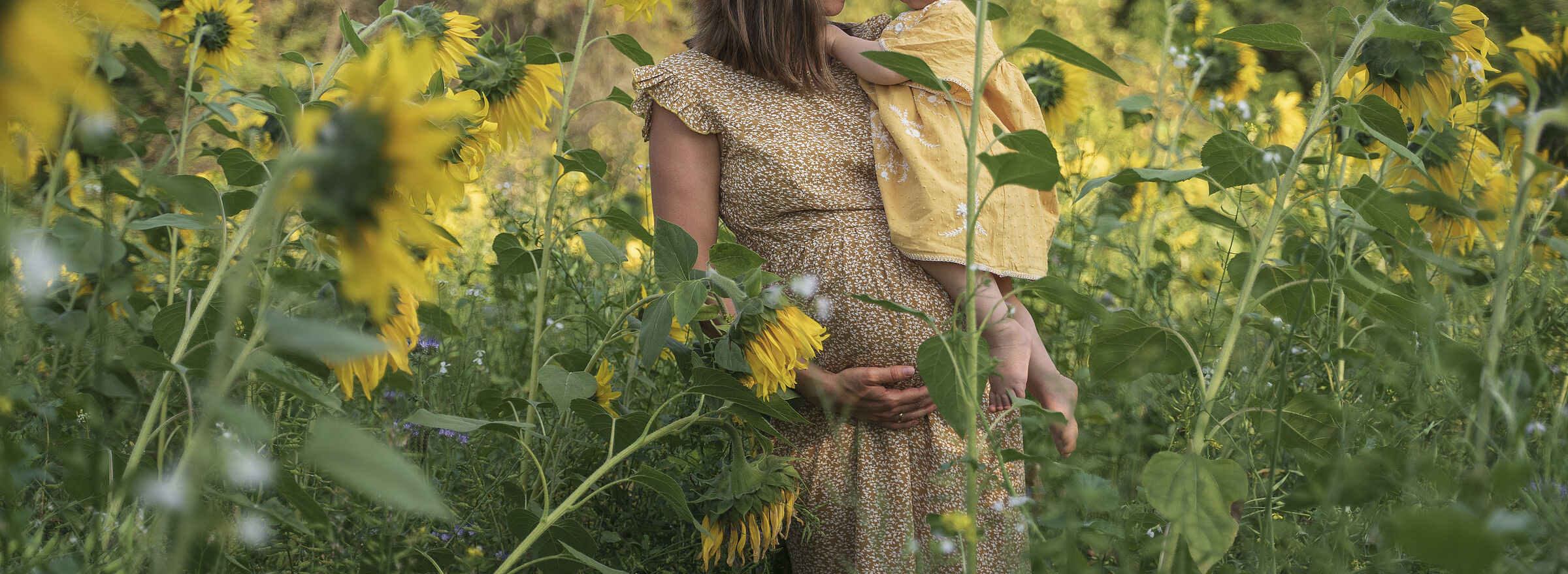 Eine Schwangere steht mit Kleinkind auf dem Arm in einem Sonnenblumenfeld: Gerade während der Schwangerschaft sollten Schadstoffe in der Umwelt gemieden werden. (Foto: Wirestock - stock.adobe.com)