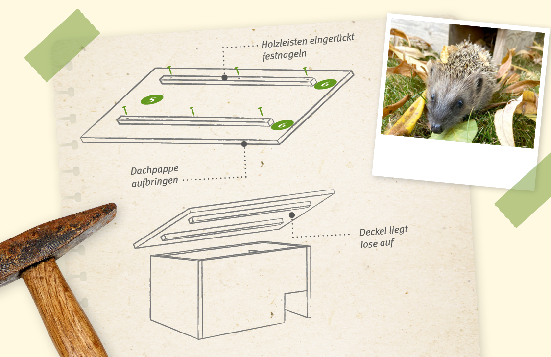 Die Grafik zeigt, wie das Dach des Igelhauses aus Holz anzubringen ist.