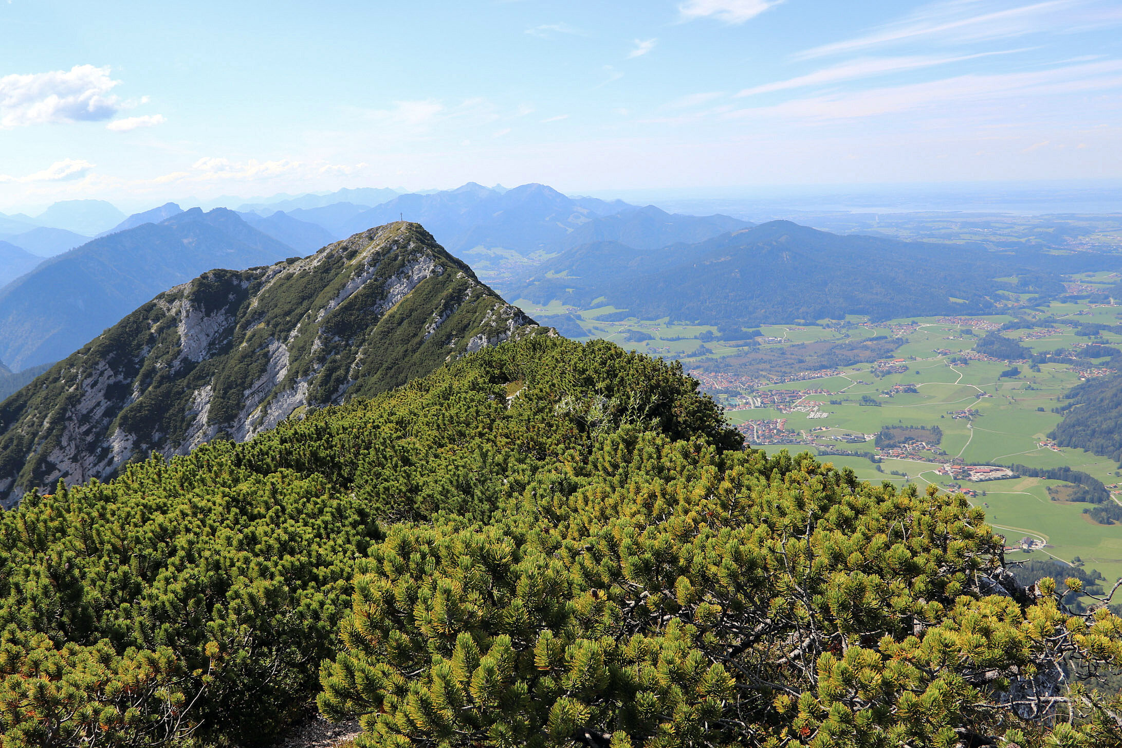 Im Vordergrund Bergkiefern, im Hintergrund schneebedeckte, von weißen Wölkchen umgebene Berge im Sonnenschein. (Foto: Fotolia/Digitalpress)