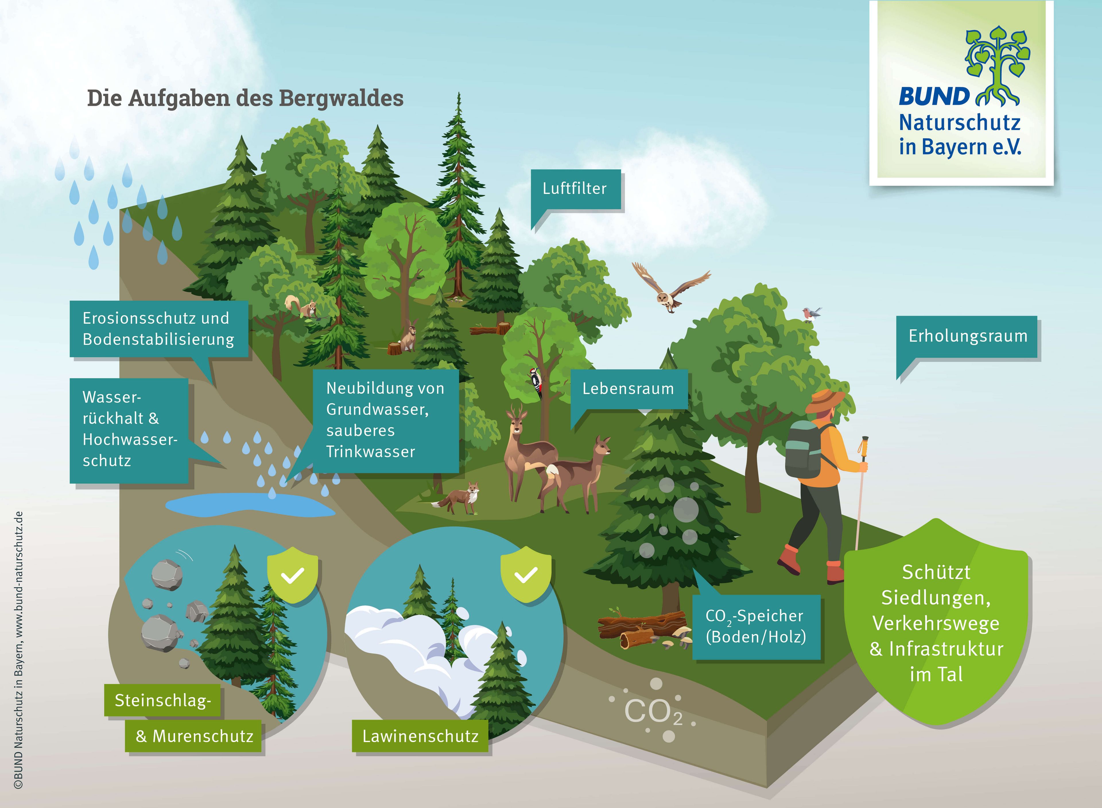 Eine Grafik zeigt einen Hang mit Wald darauf und benennt die verschiedenen Aufgaben des Bergwaldes. Der Bergwald hat als Schutzwald besonders viele Gemeinwohlaufgaben.