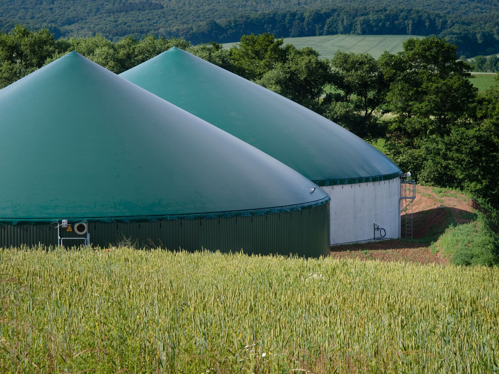 Eine Biogasanlage mit zwei Speichern: Biomasse ist ein bedeutender, da gut speicherbarer erneuerbarer Energieträger – doch eine Konkurrenz zu Nahrungsmitteln muss vermieden werden. (Foto: Cachaco/AdobeStock)